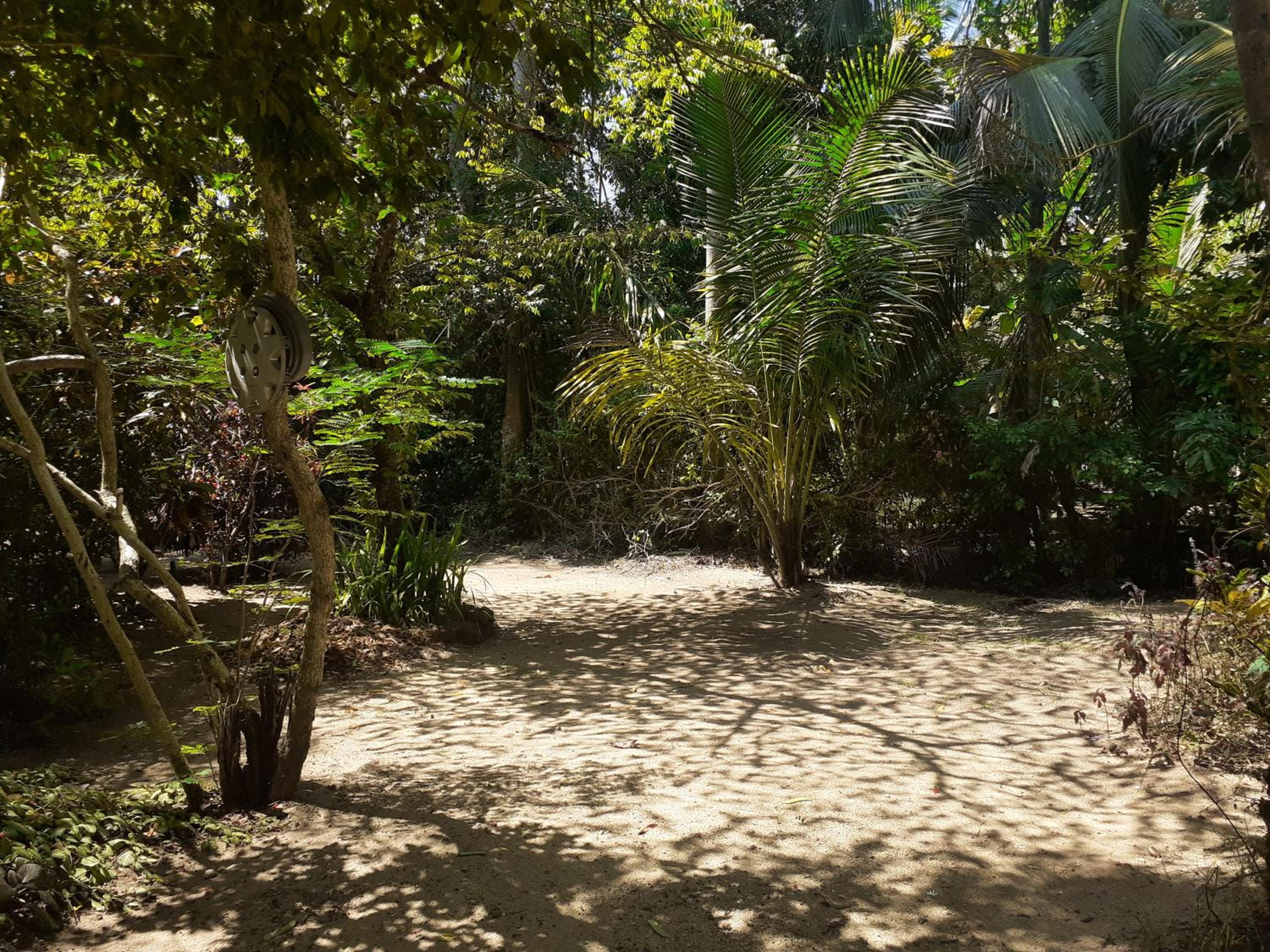 Photo 40