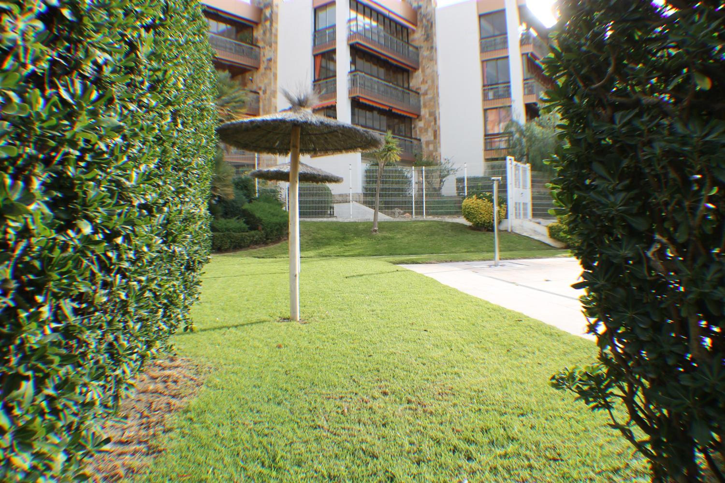 Photo 51
