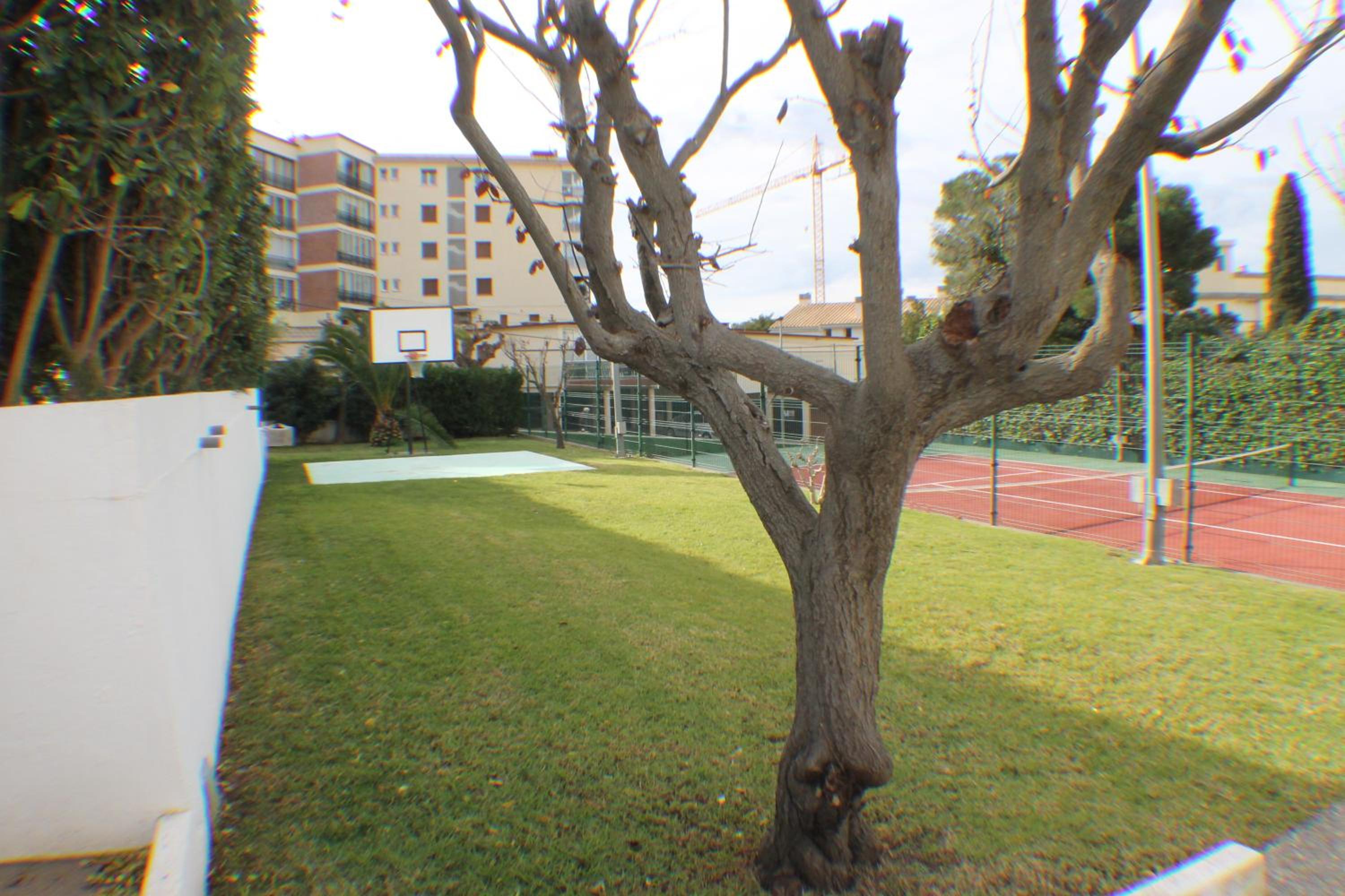 Photo 49