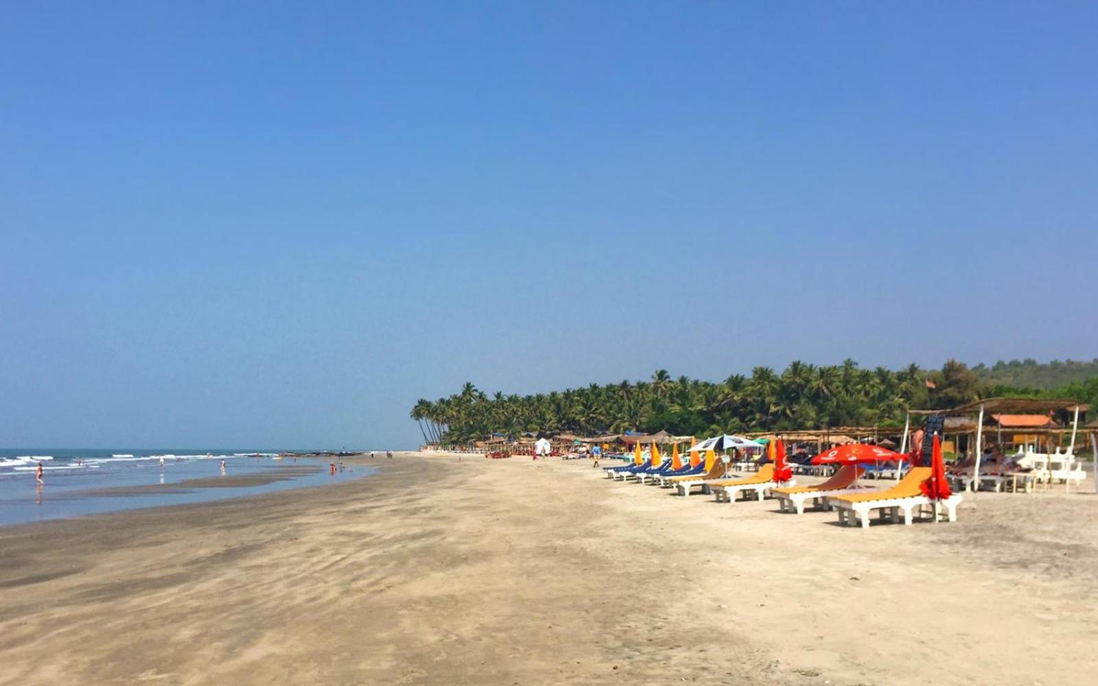 Aurum Resorts Morjim, 500 meters from Beach
