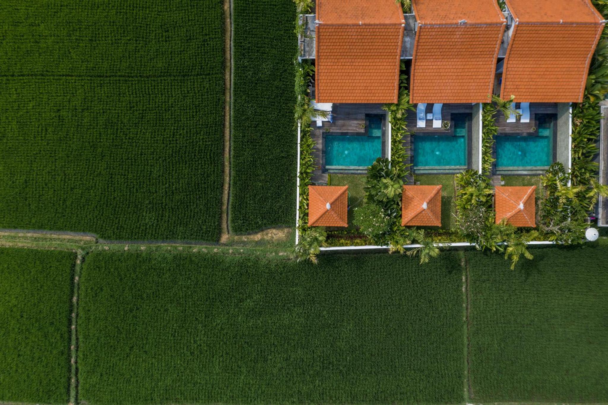 Sawah Villas view 3