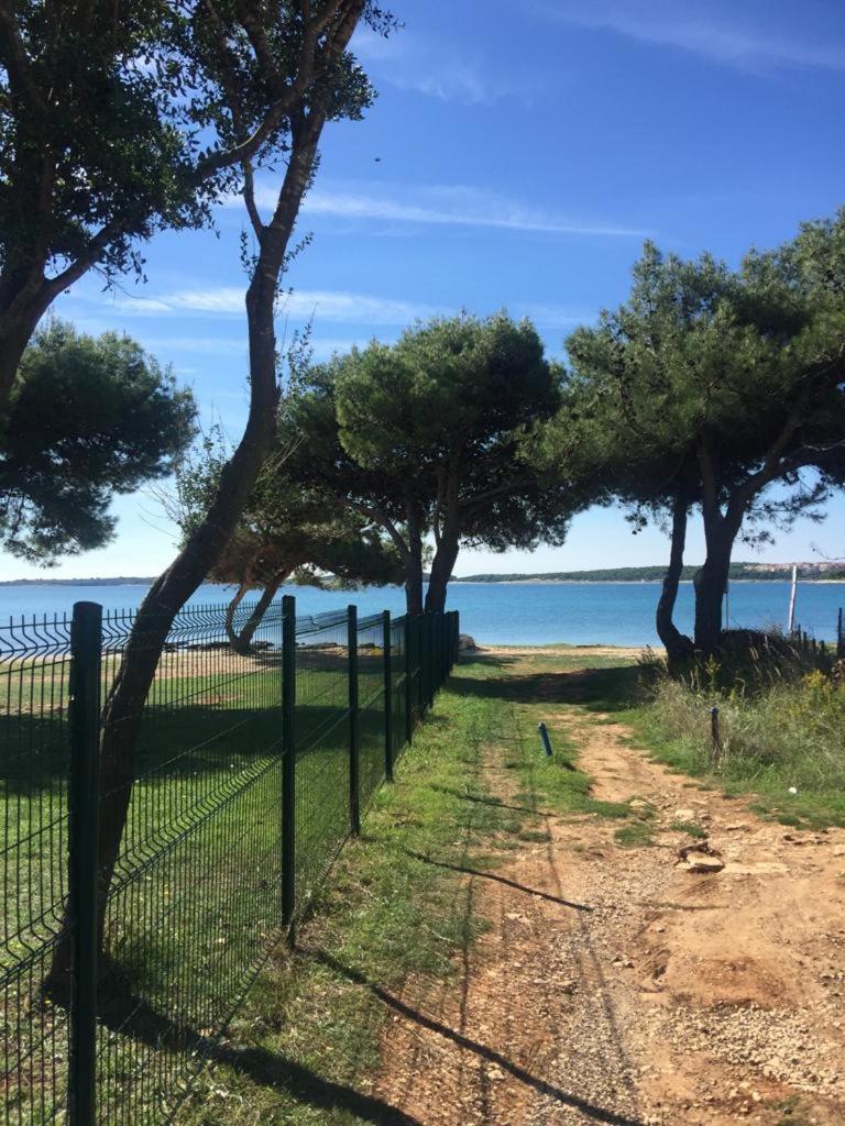 Adriatic