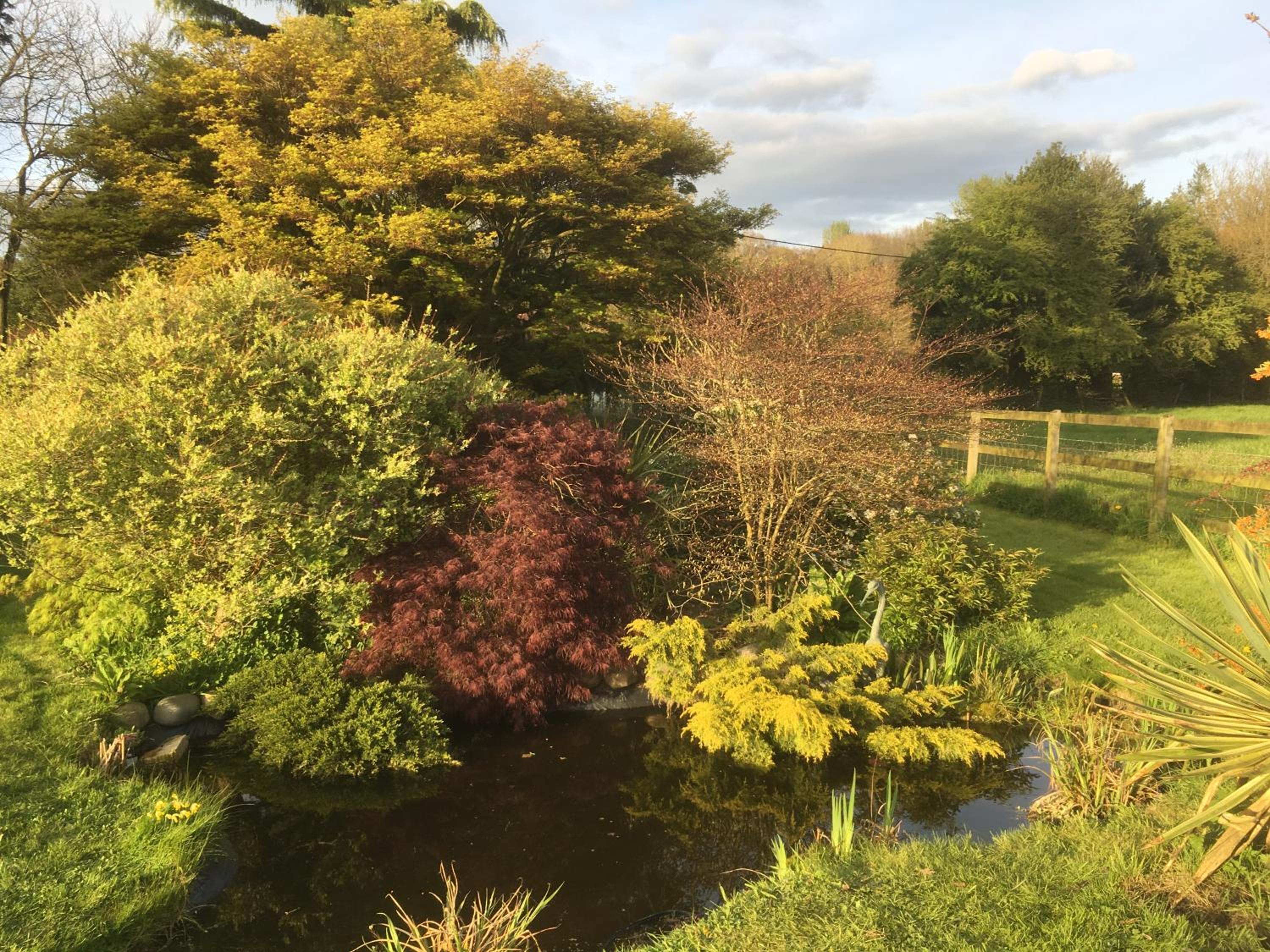 Woodlands Cottage Farm view 5