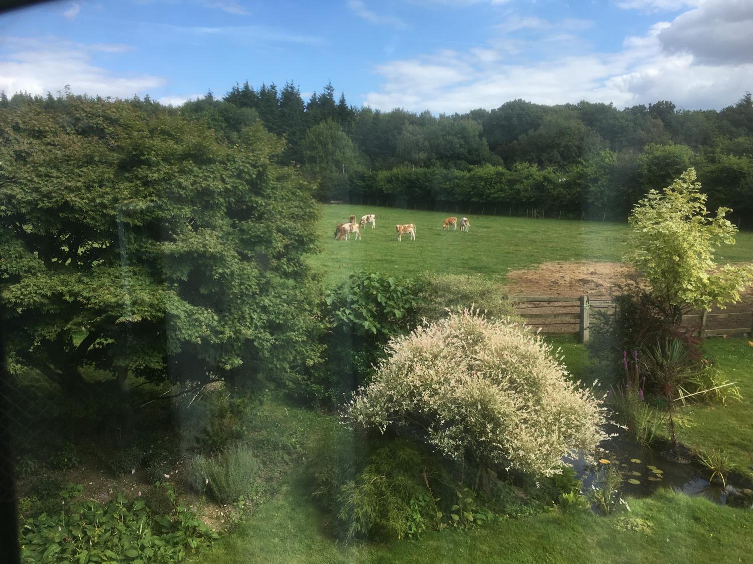 Woodlands Cottage Farm view 3