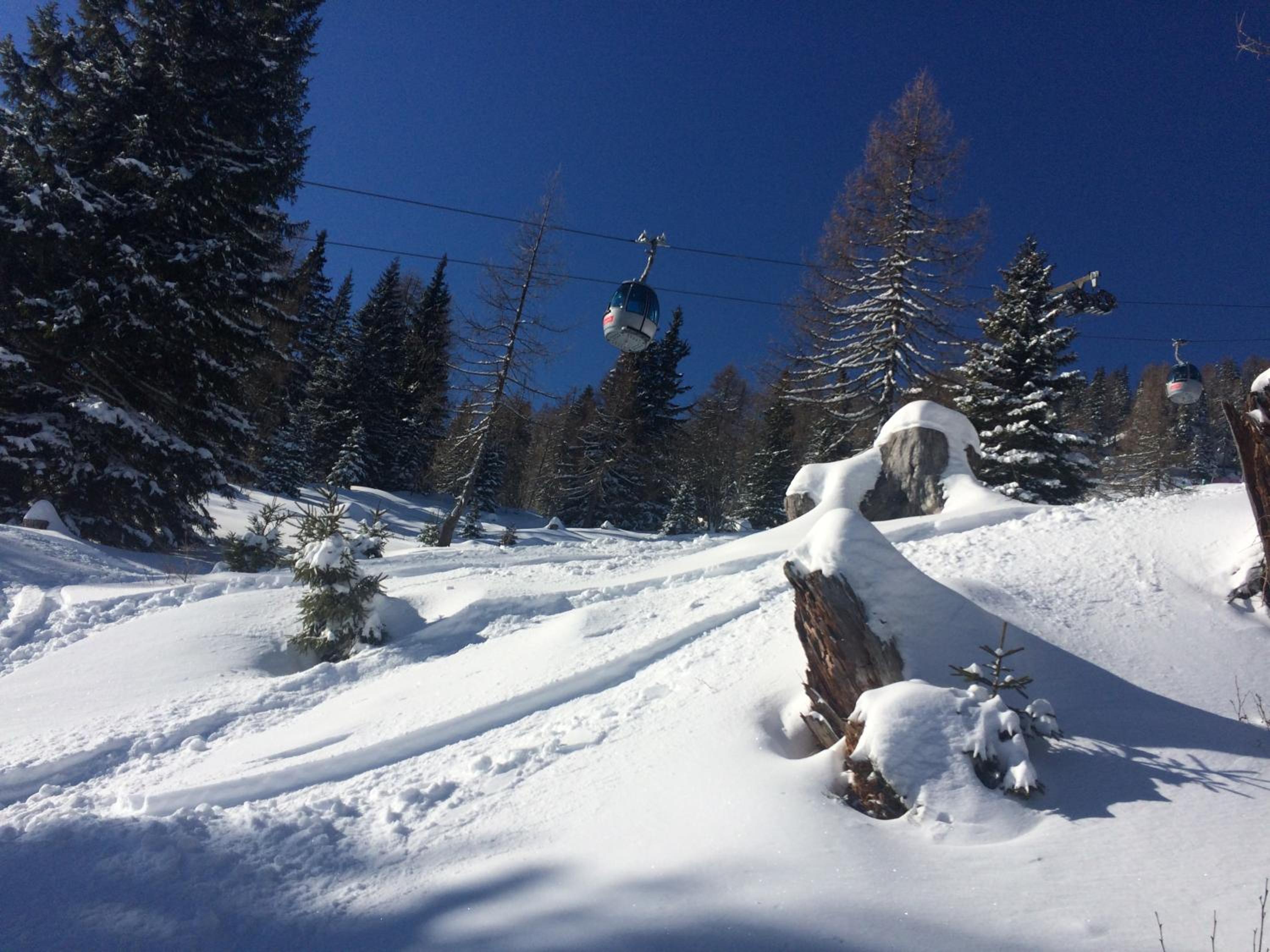 Tom's Hütte