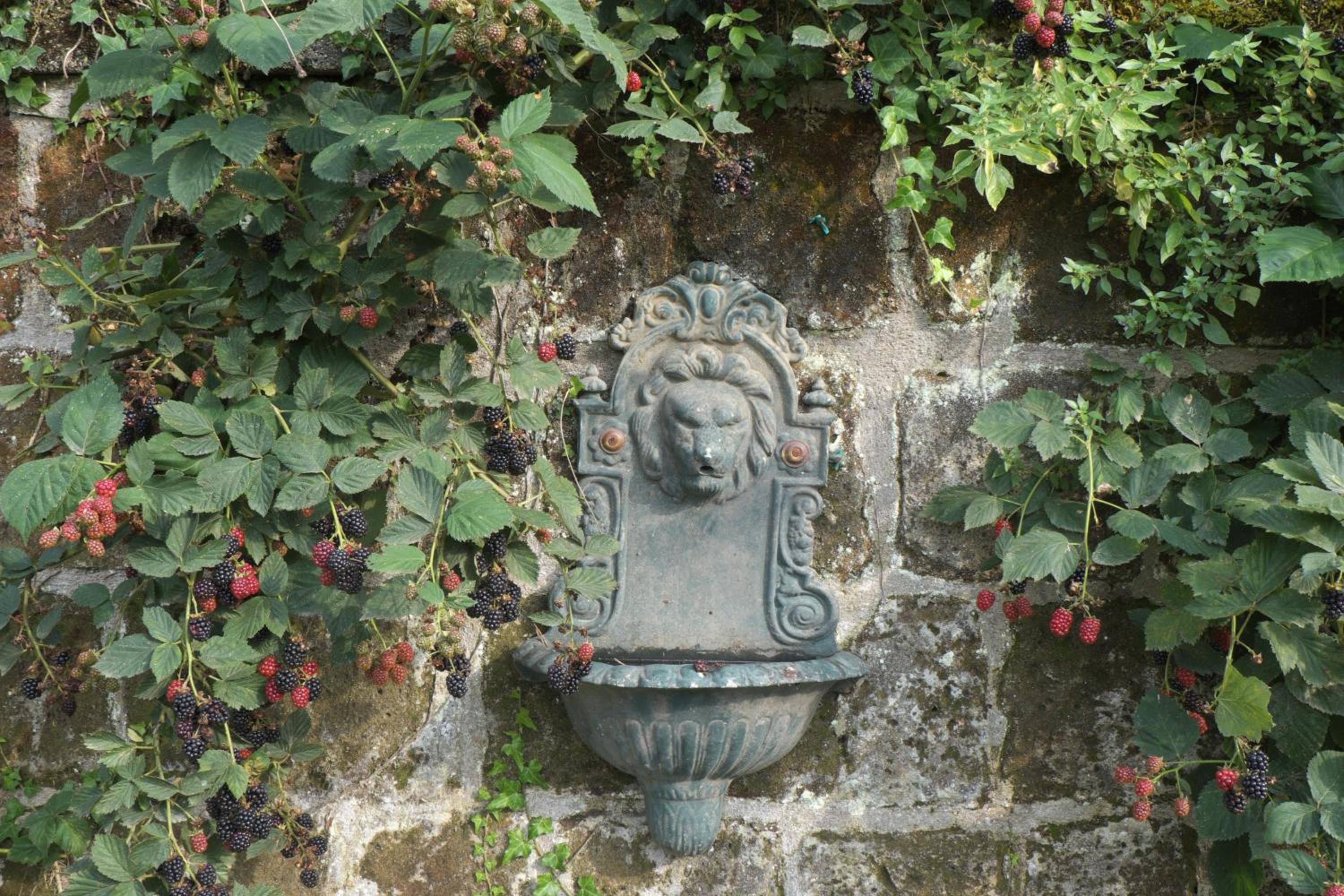 Photo 28