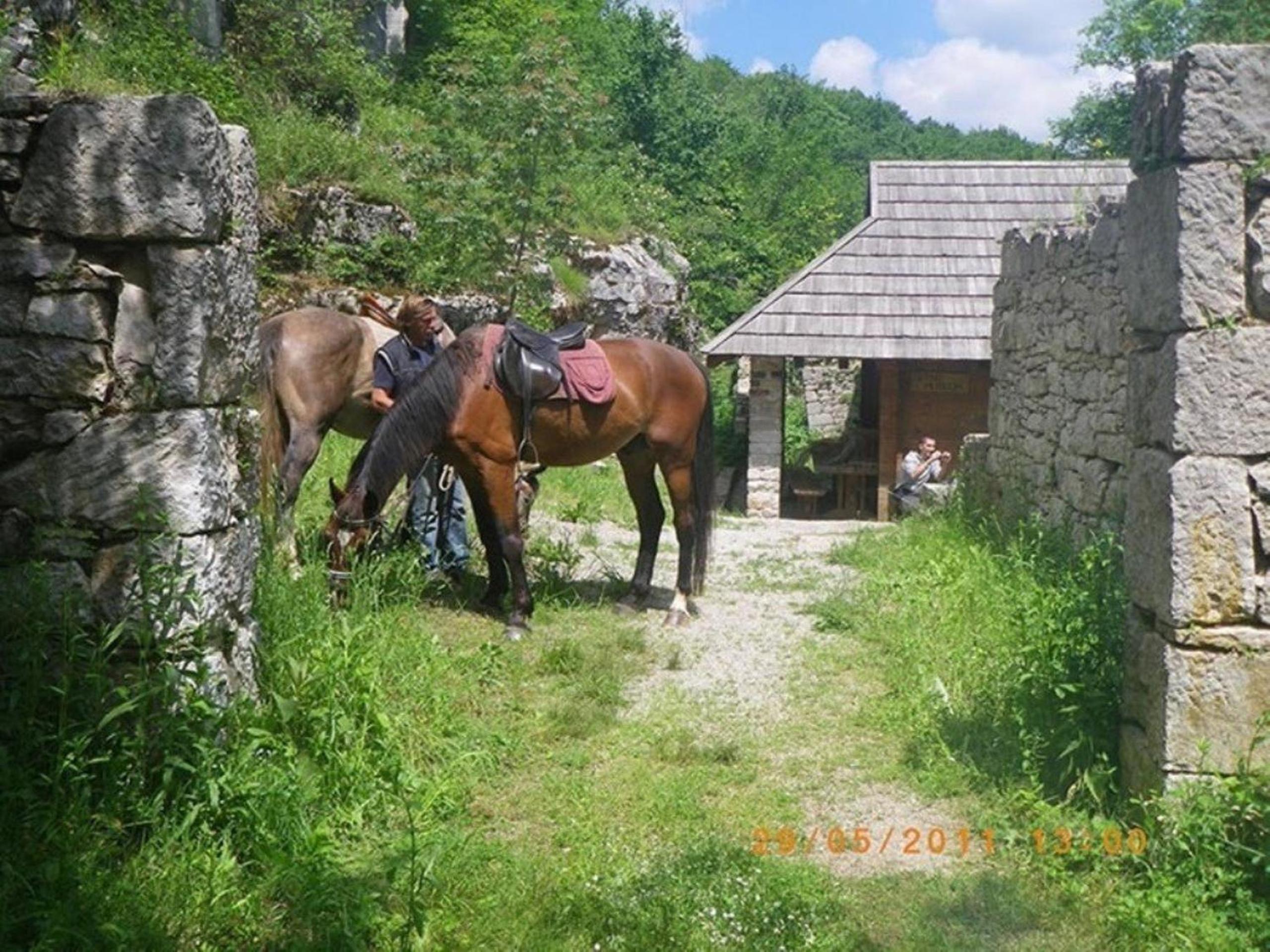 Photo 44
