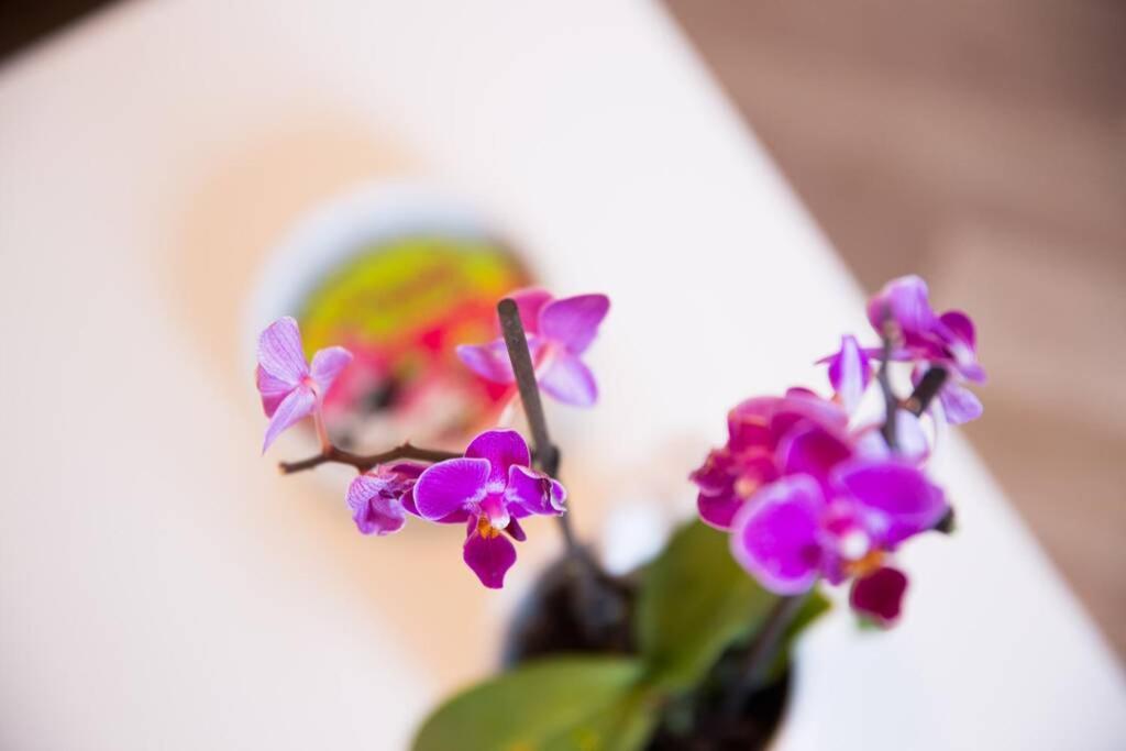 A bright hideaway