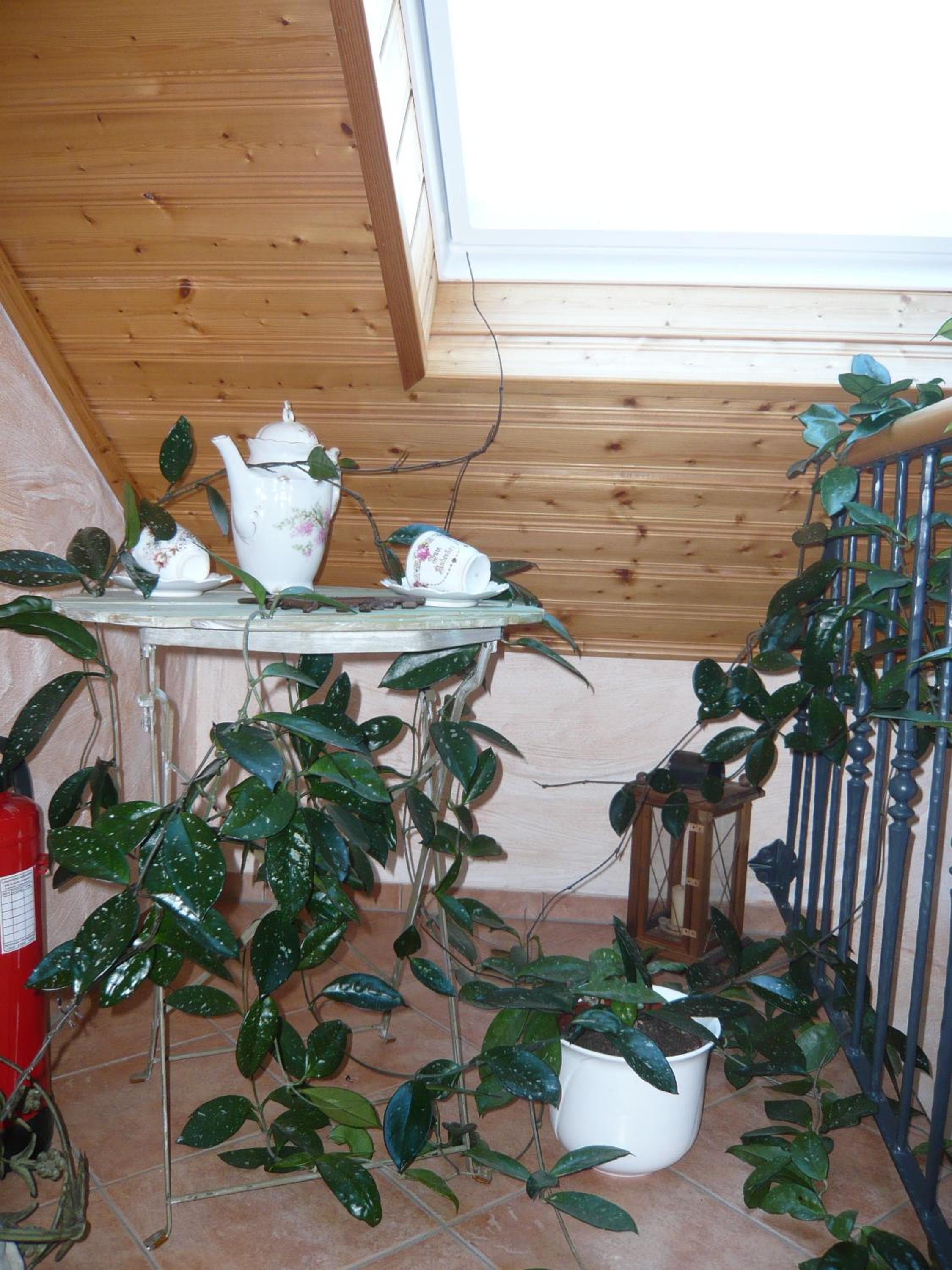 Haus Talblick en Willingen