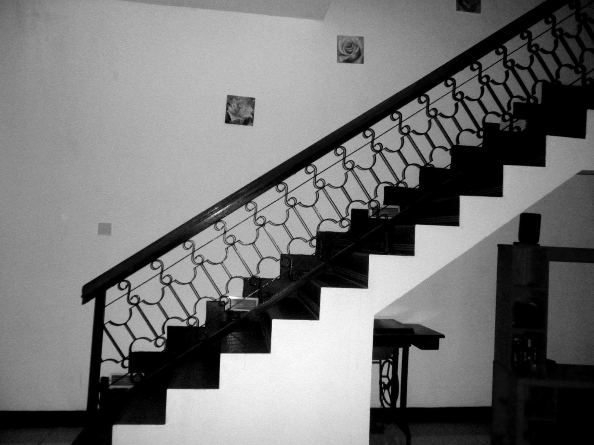 PaddyView villa