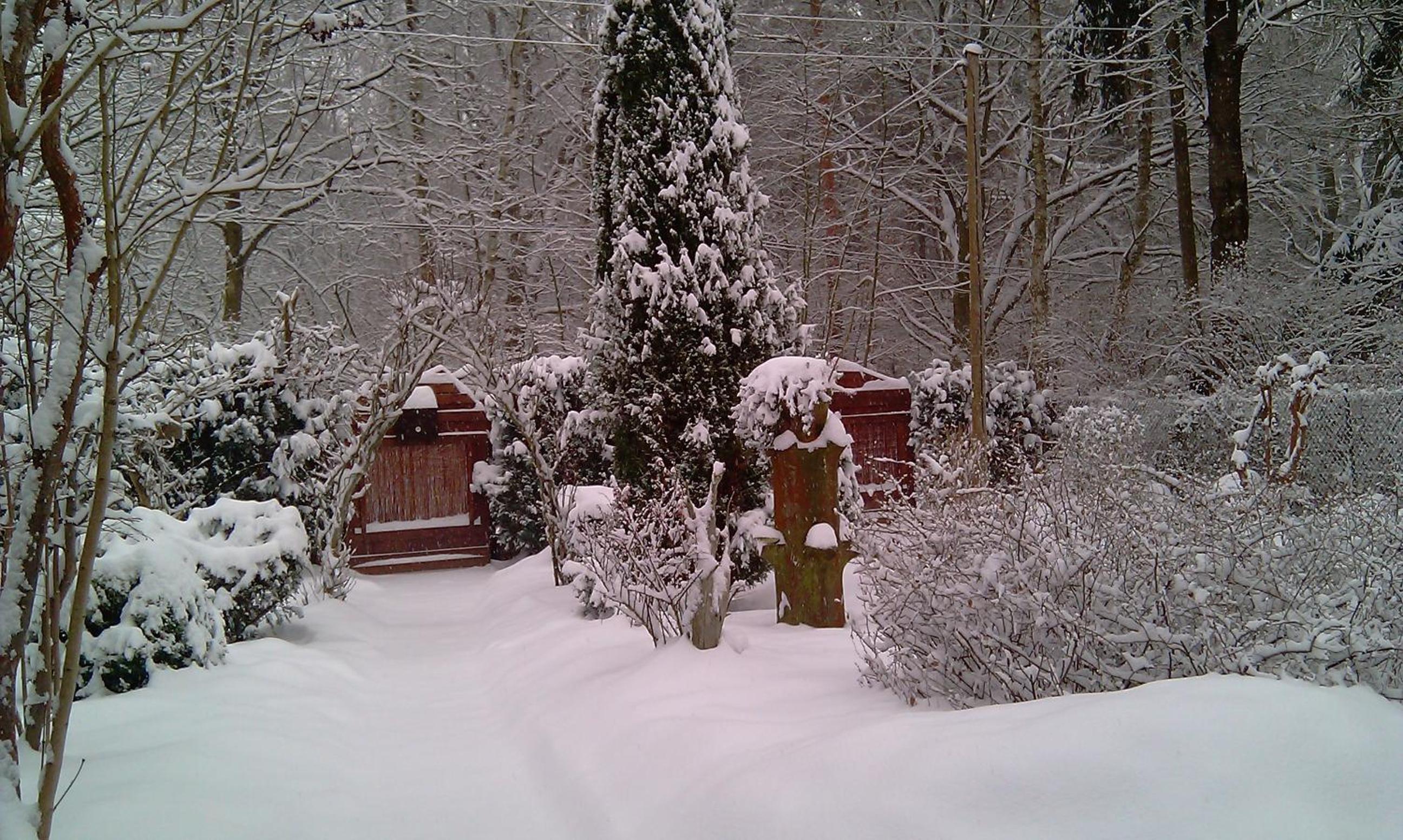 Norwegisches Holzhaus