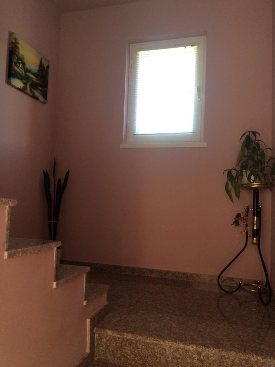 Vasilevi House