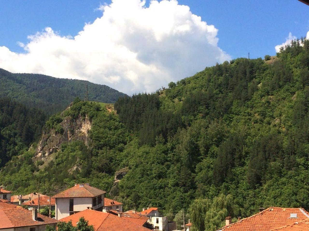 Vasilevi House