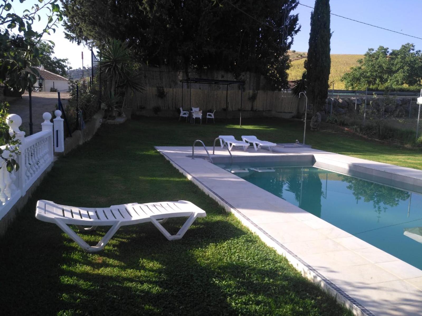 Casa Rural Las Palmeras view 4