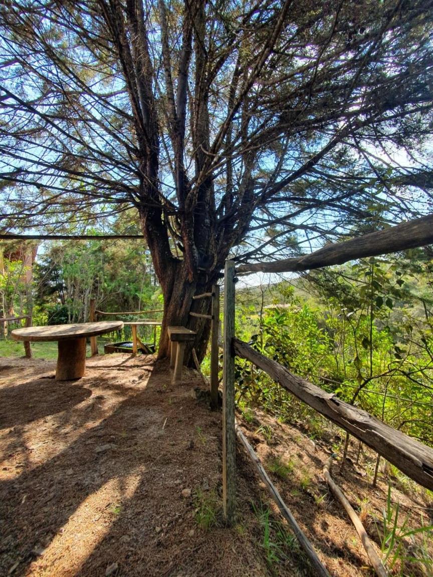 Morada da Águia