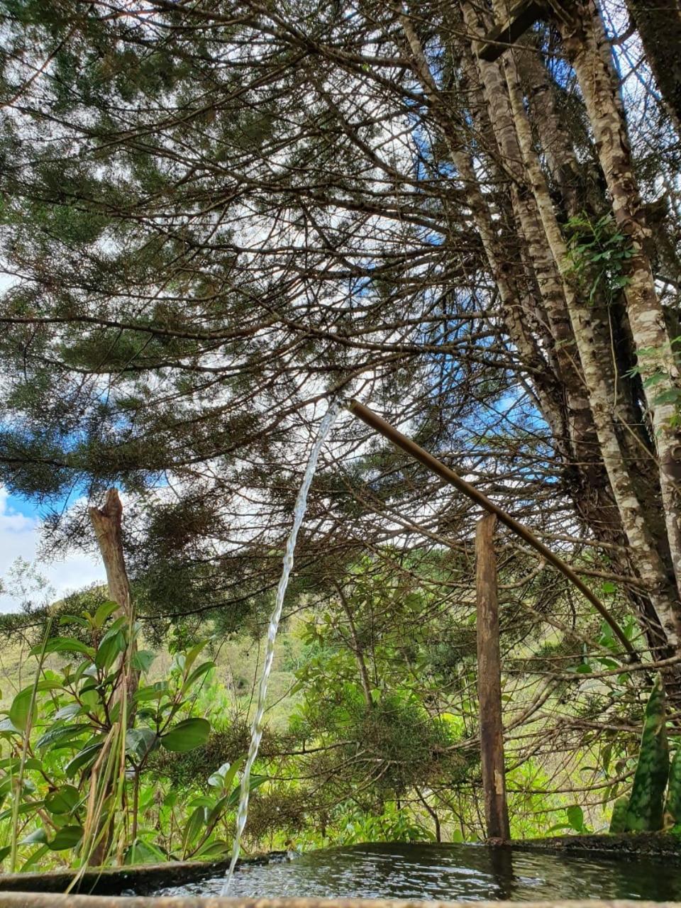 Morada da Águia