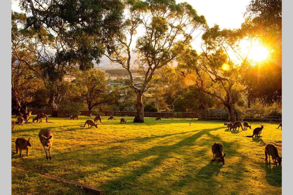 Best Location in Hobart! Luxury 4 bedroom with stunning views