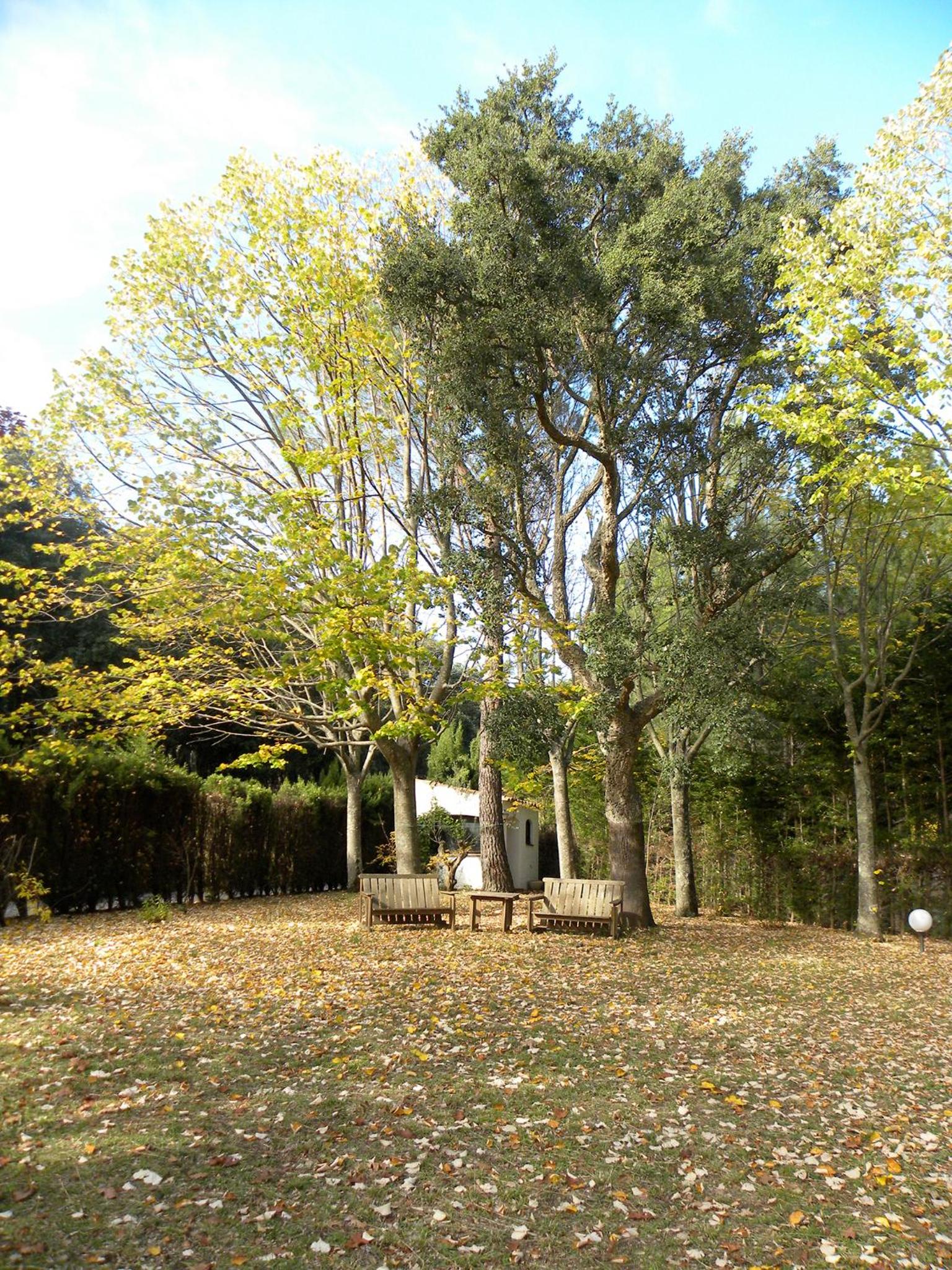 Photo 32