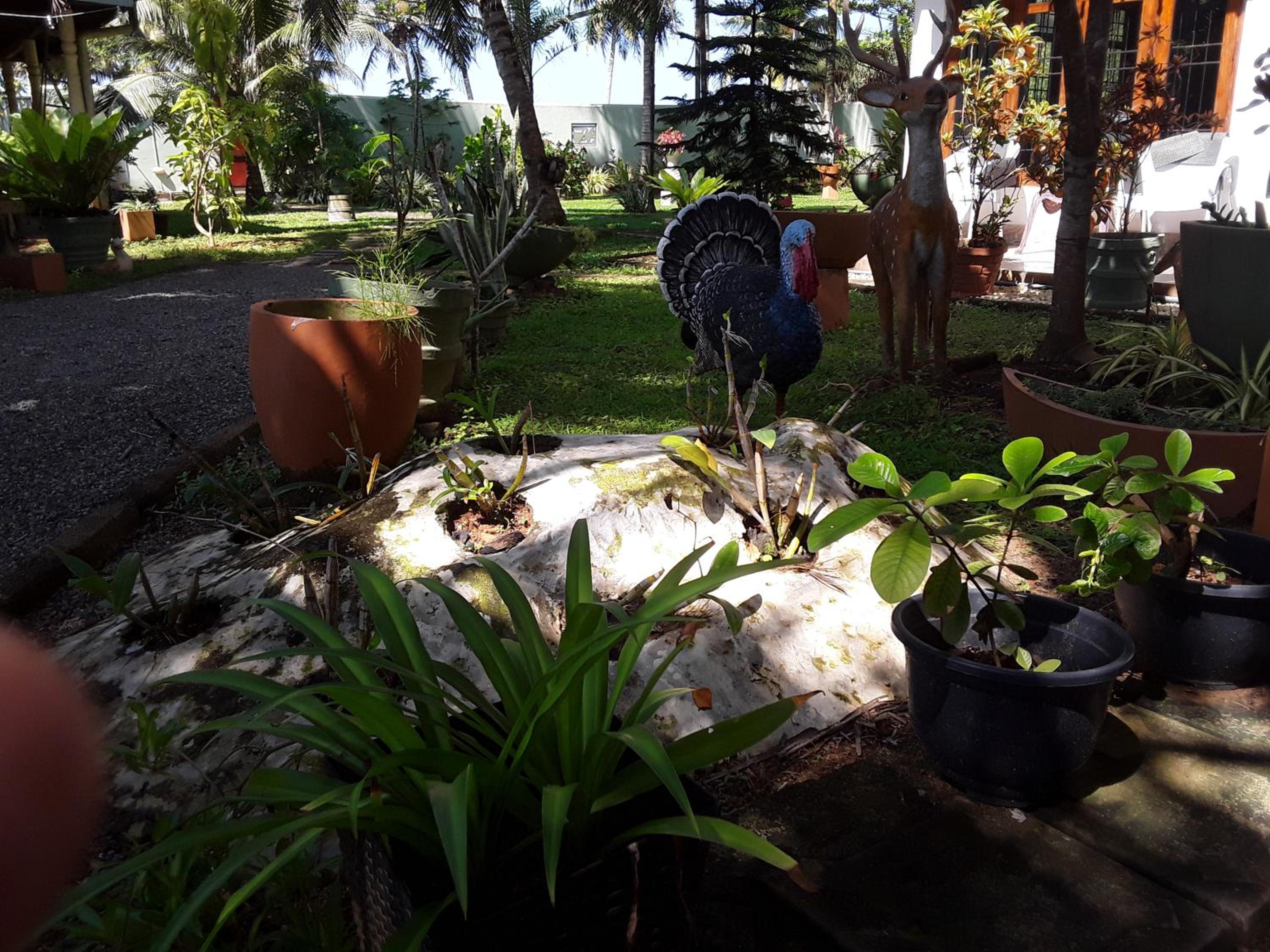 Photo 18