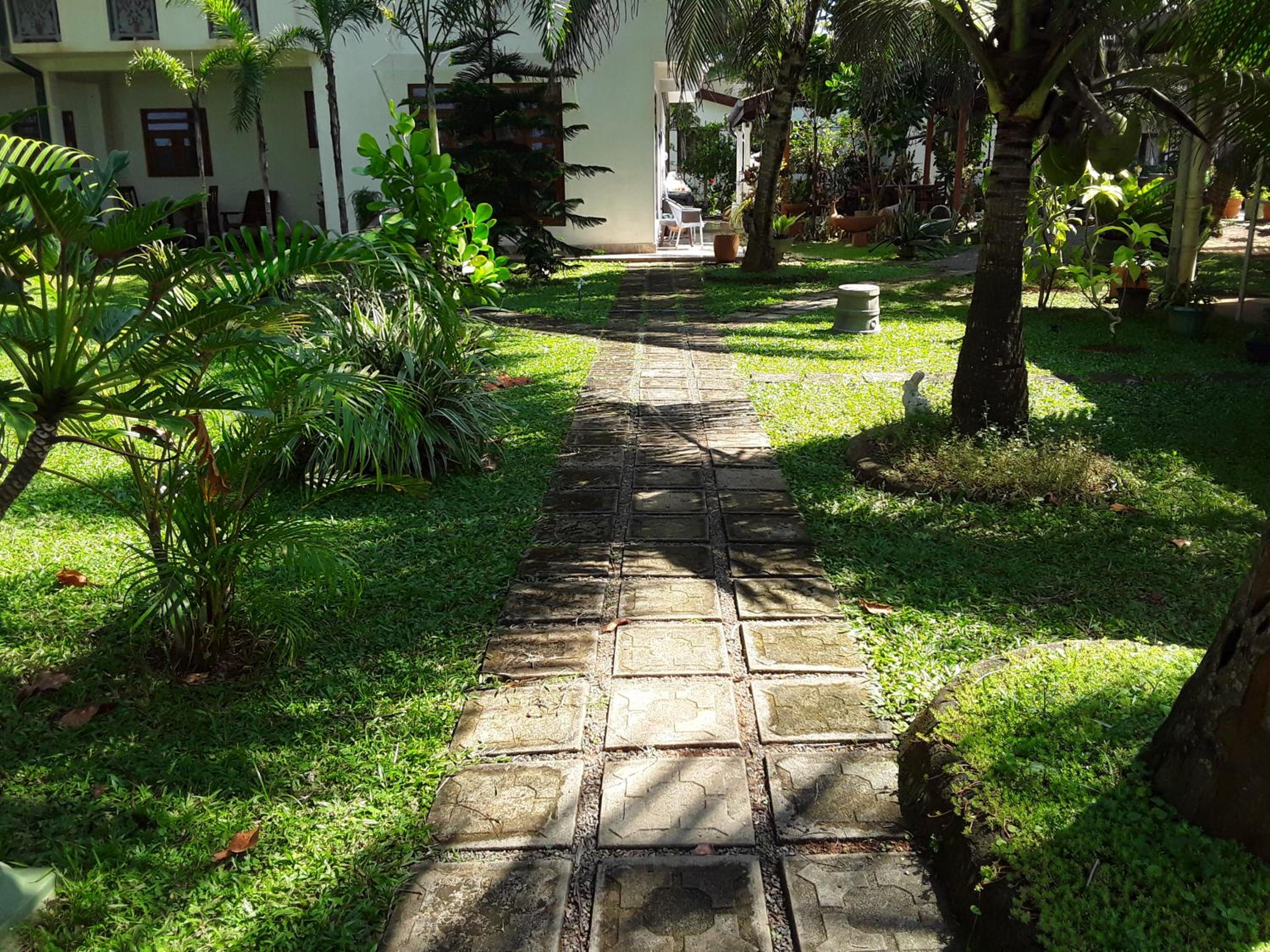 Photo 38