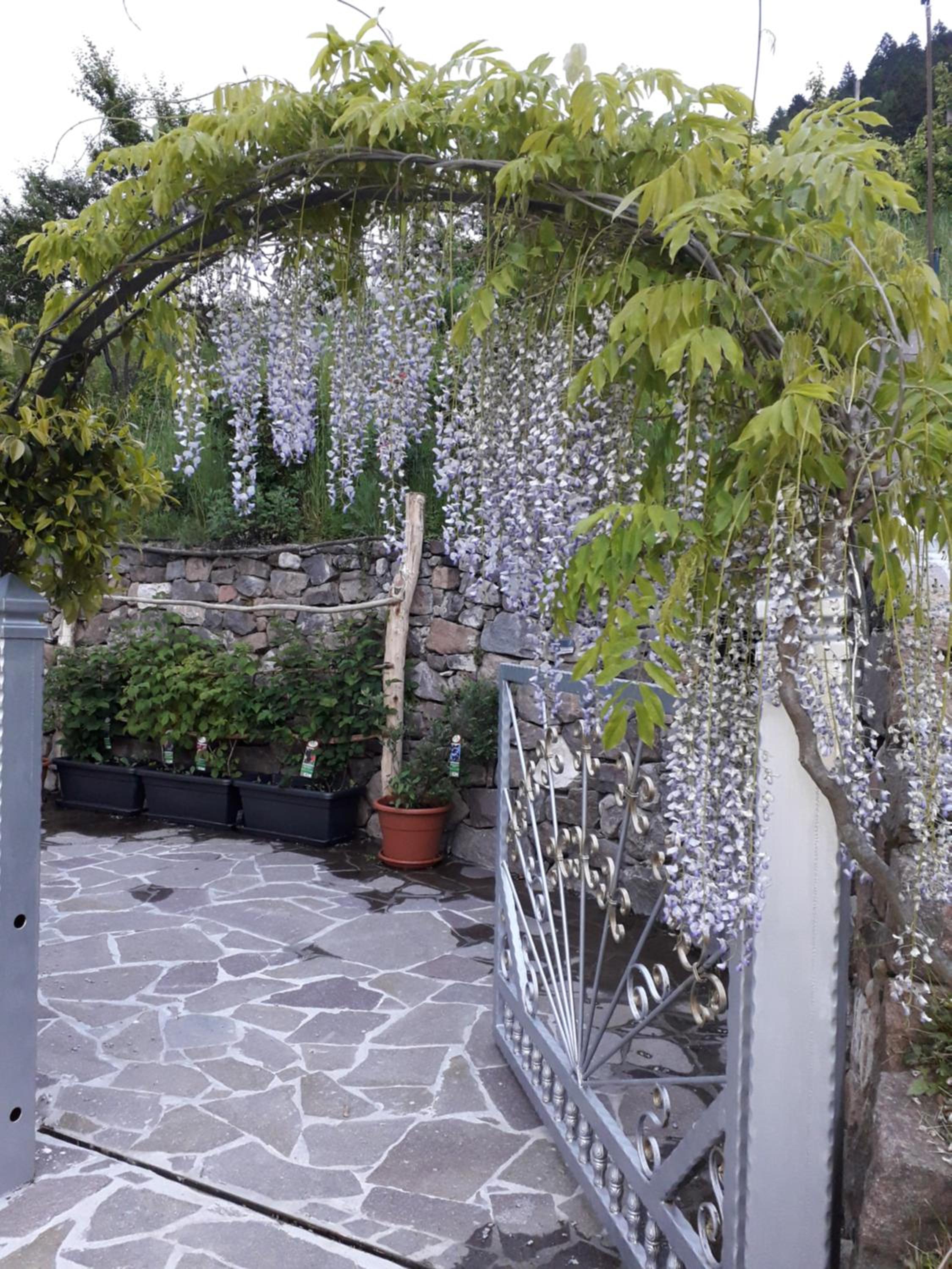 ATL AGRITURISMO view 3
