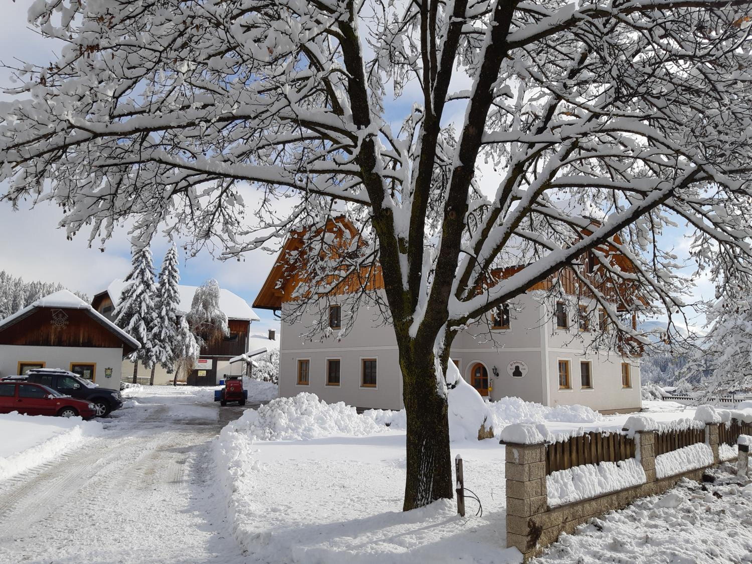 Bio Bauernhof Schoberhof