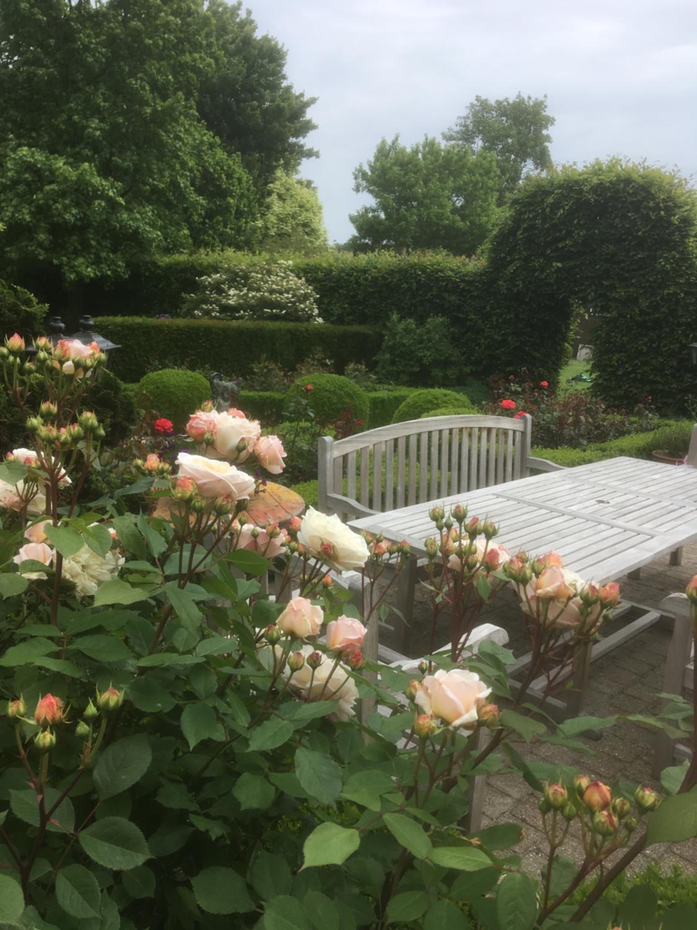 B&B OLEN