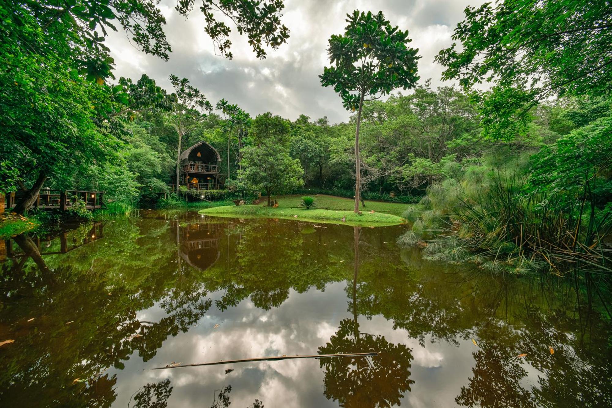 Serenity Mountain and Forest Lodge