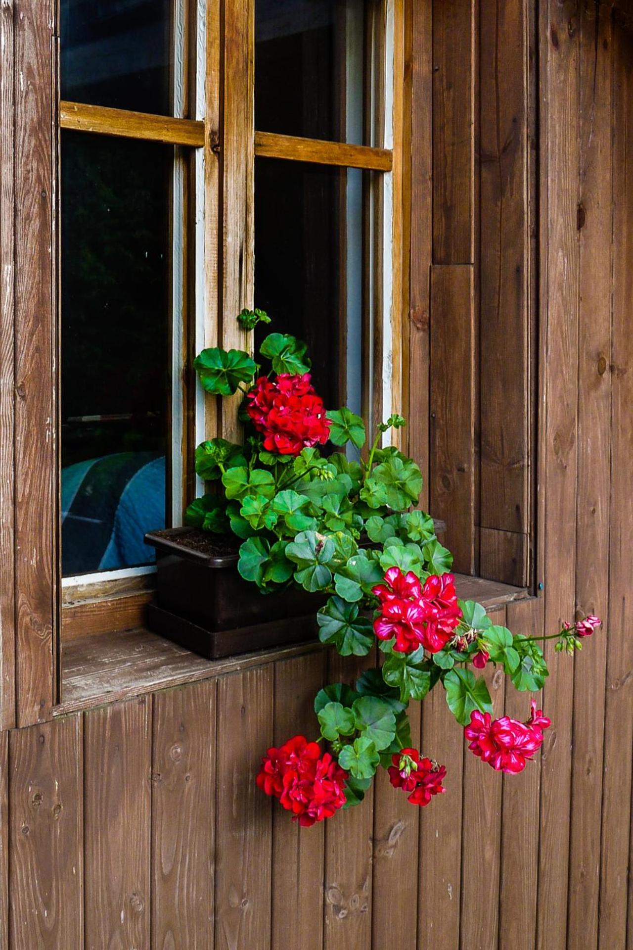 Apartmán Pod hrází Bedřichov