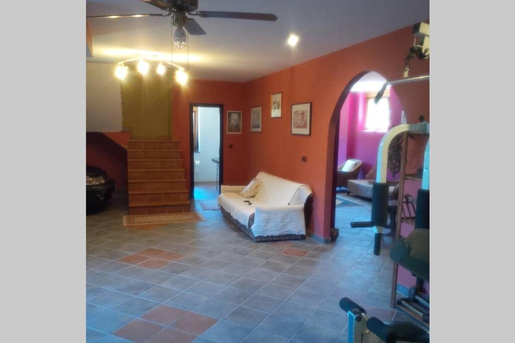 Photo 11