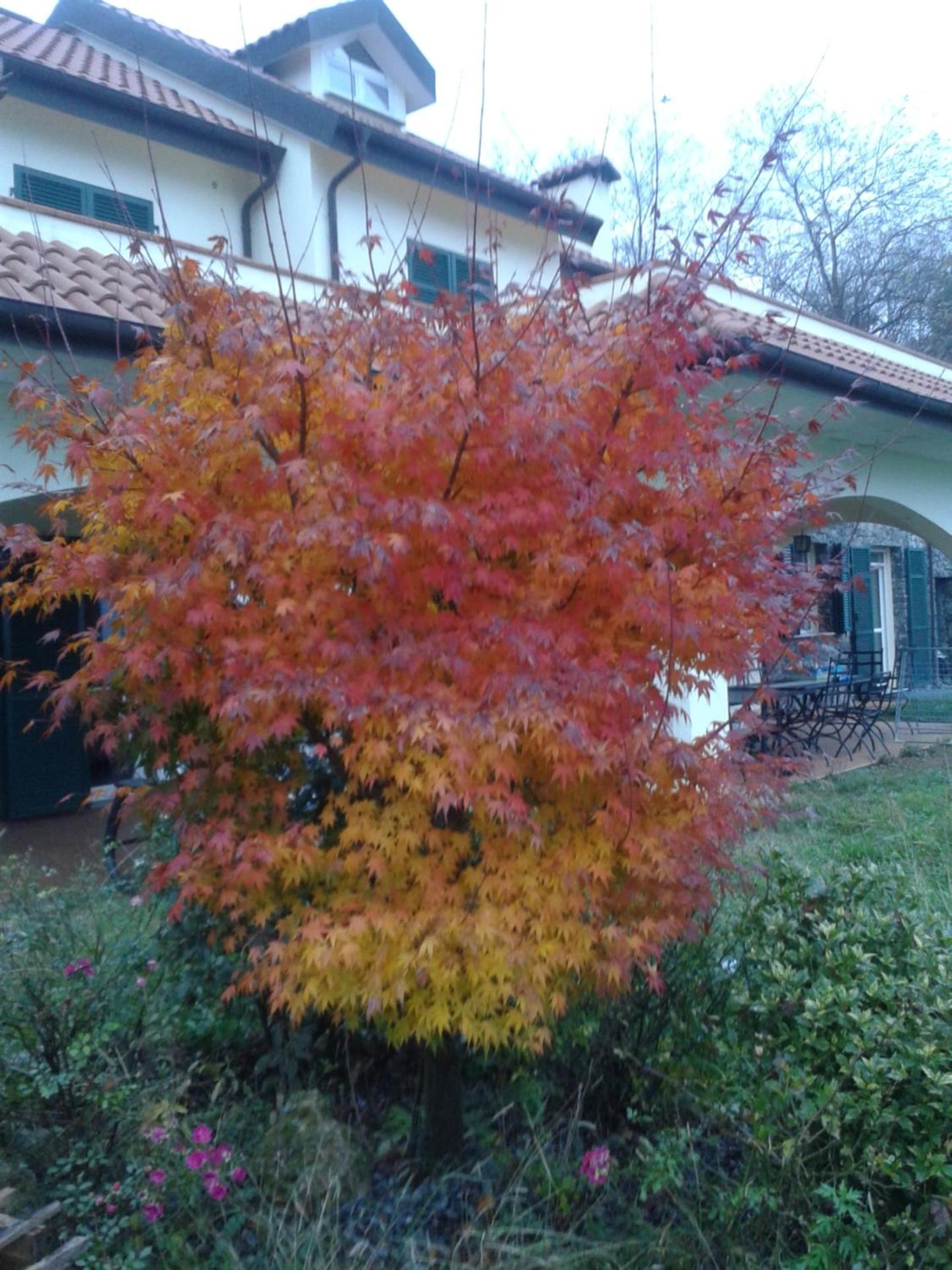 B&B Villa Paola view 3