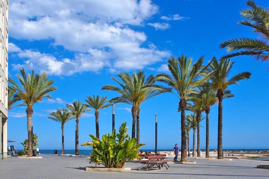 Estudio junto al Mar