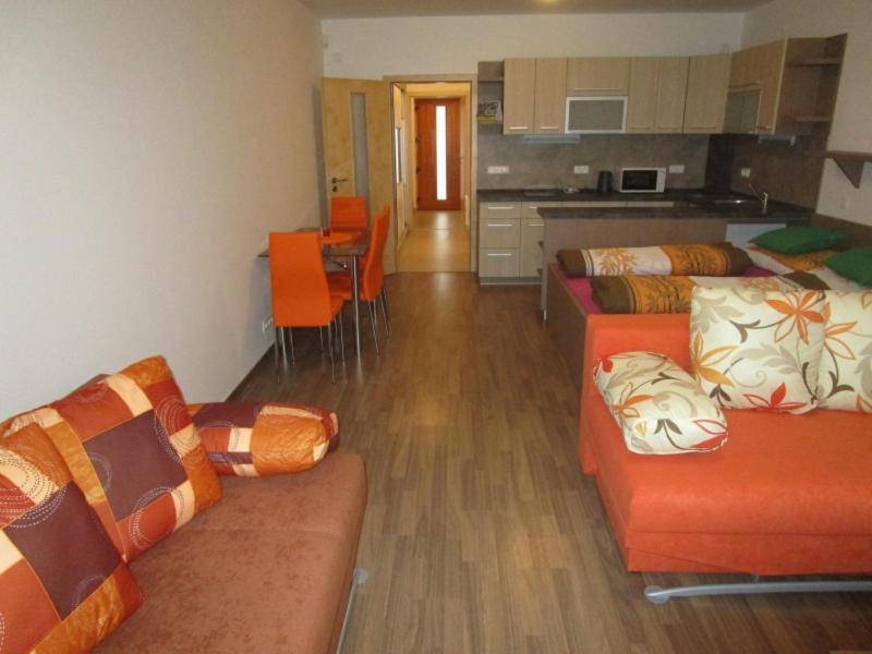 Apartmán Říčky v Orlických Horách