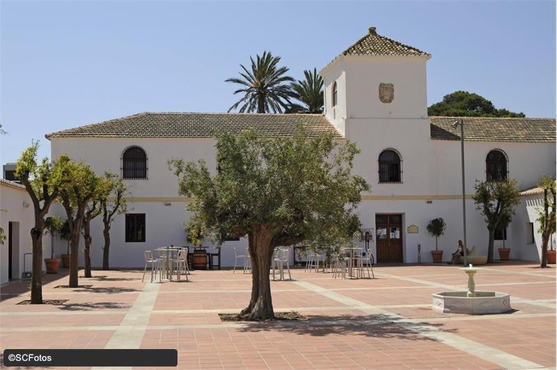 Photo 34