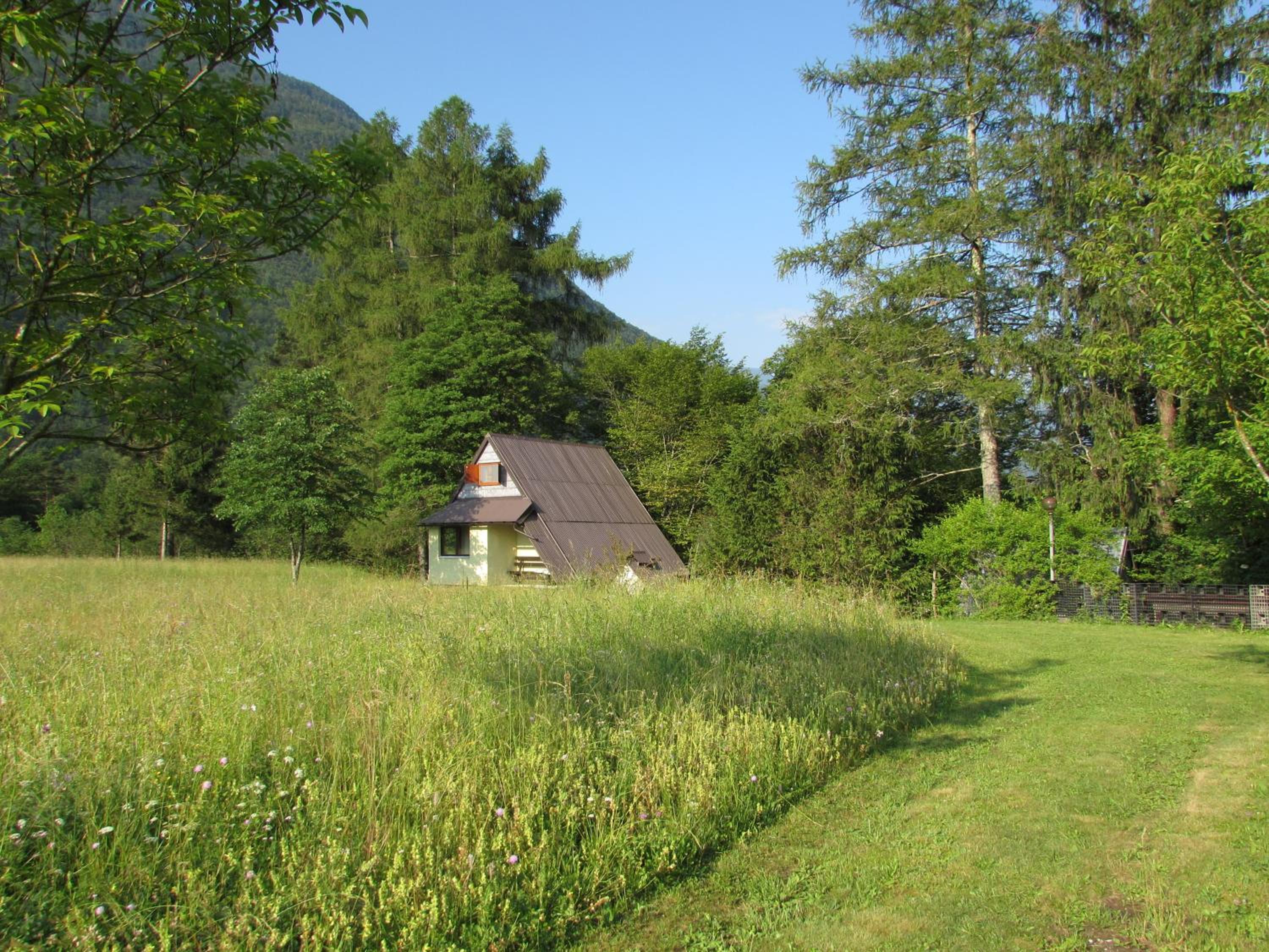 Apartma Narnia