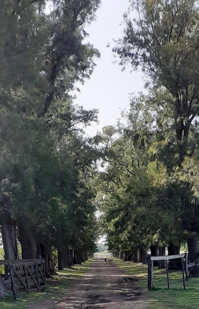 La Rosadita Casa de Campo