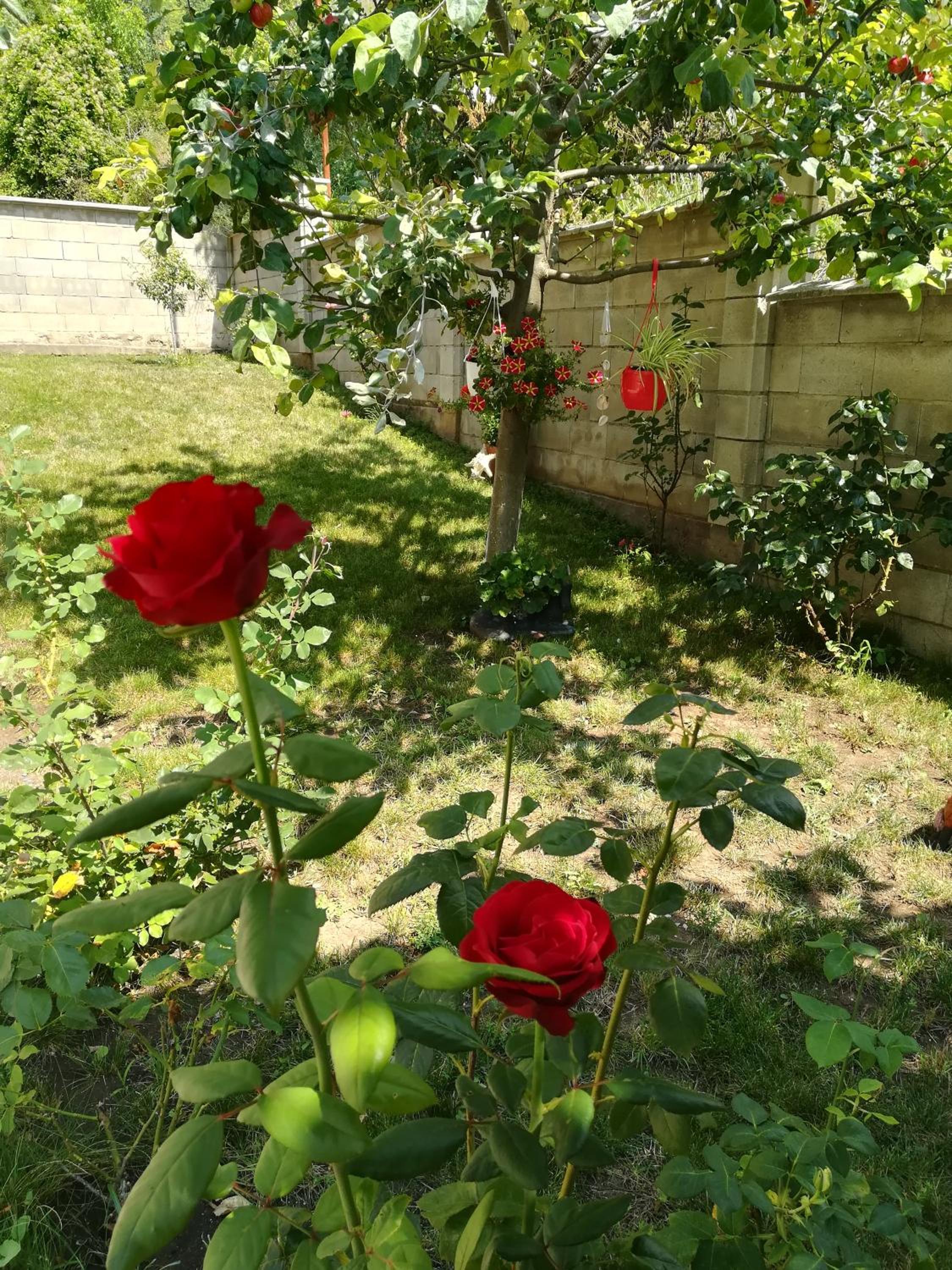 Villa Holly