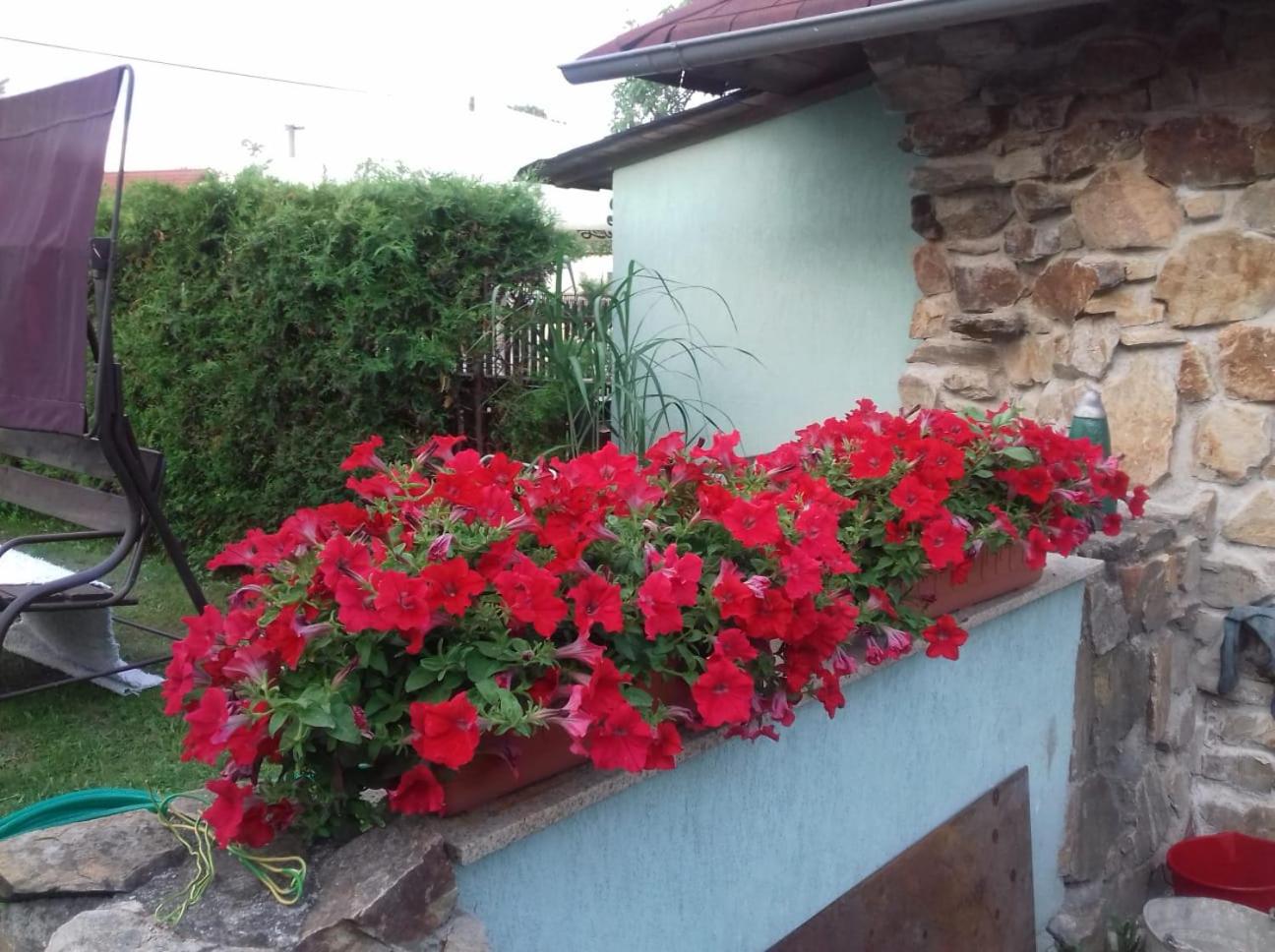 Apartmány na Hlíně view 2
