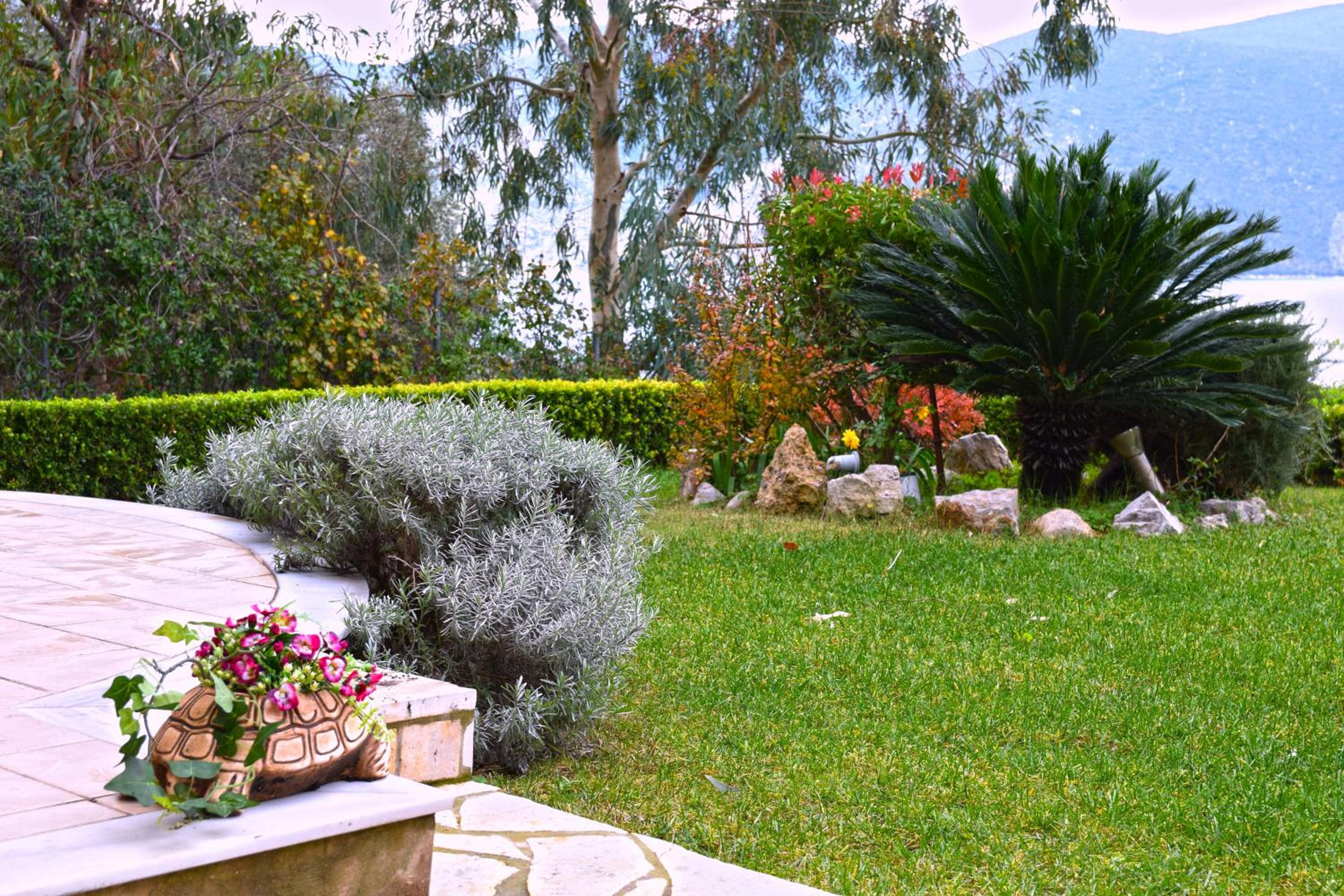 Photo 6