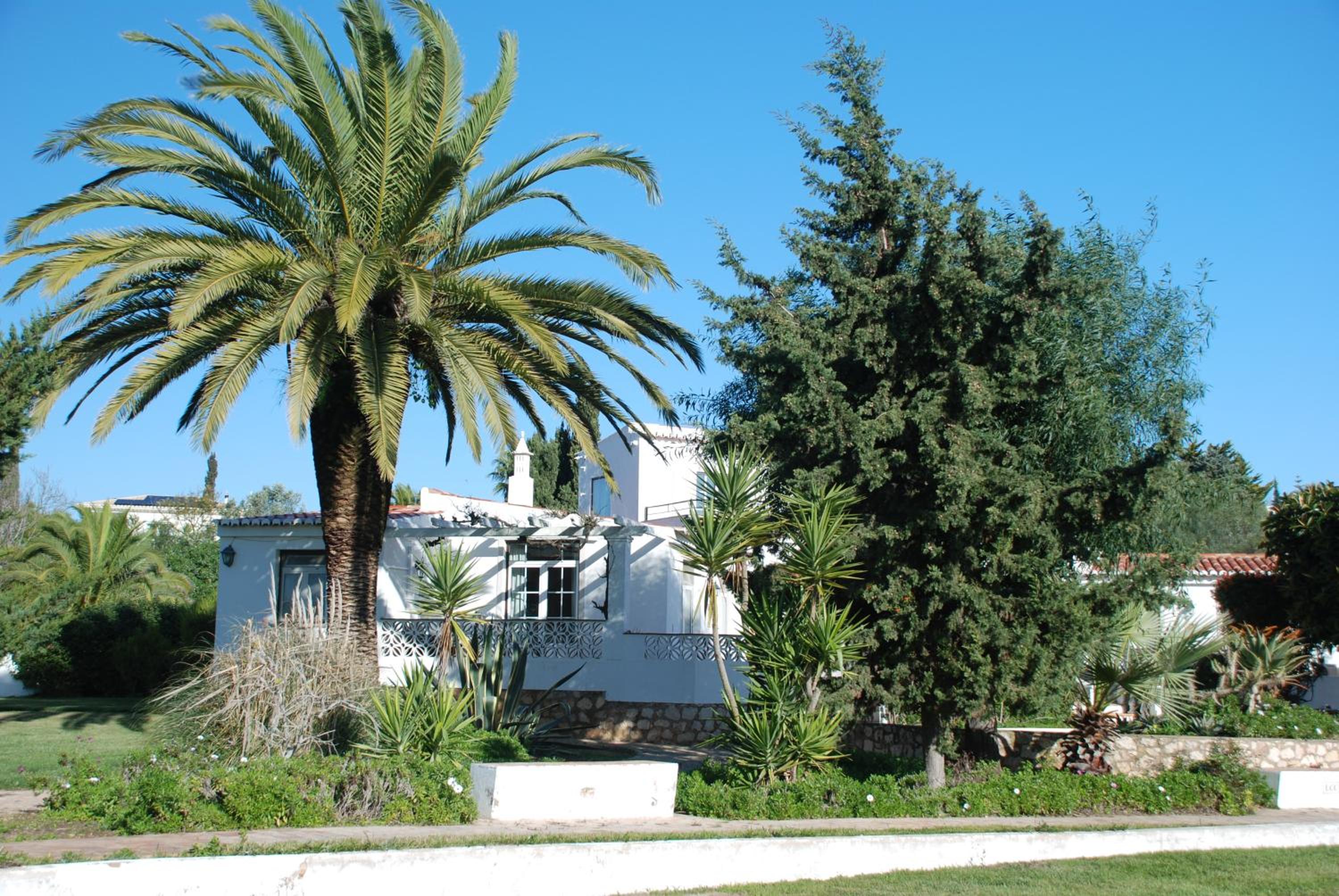 CASA BEACHCOMBER Le jardin des Arts view 5