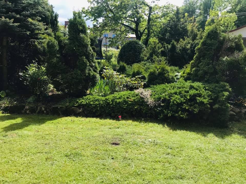 ApartamentVanessa view 3