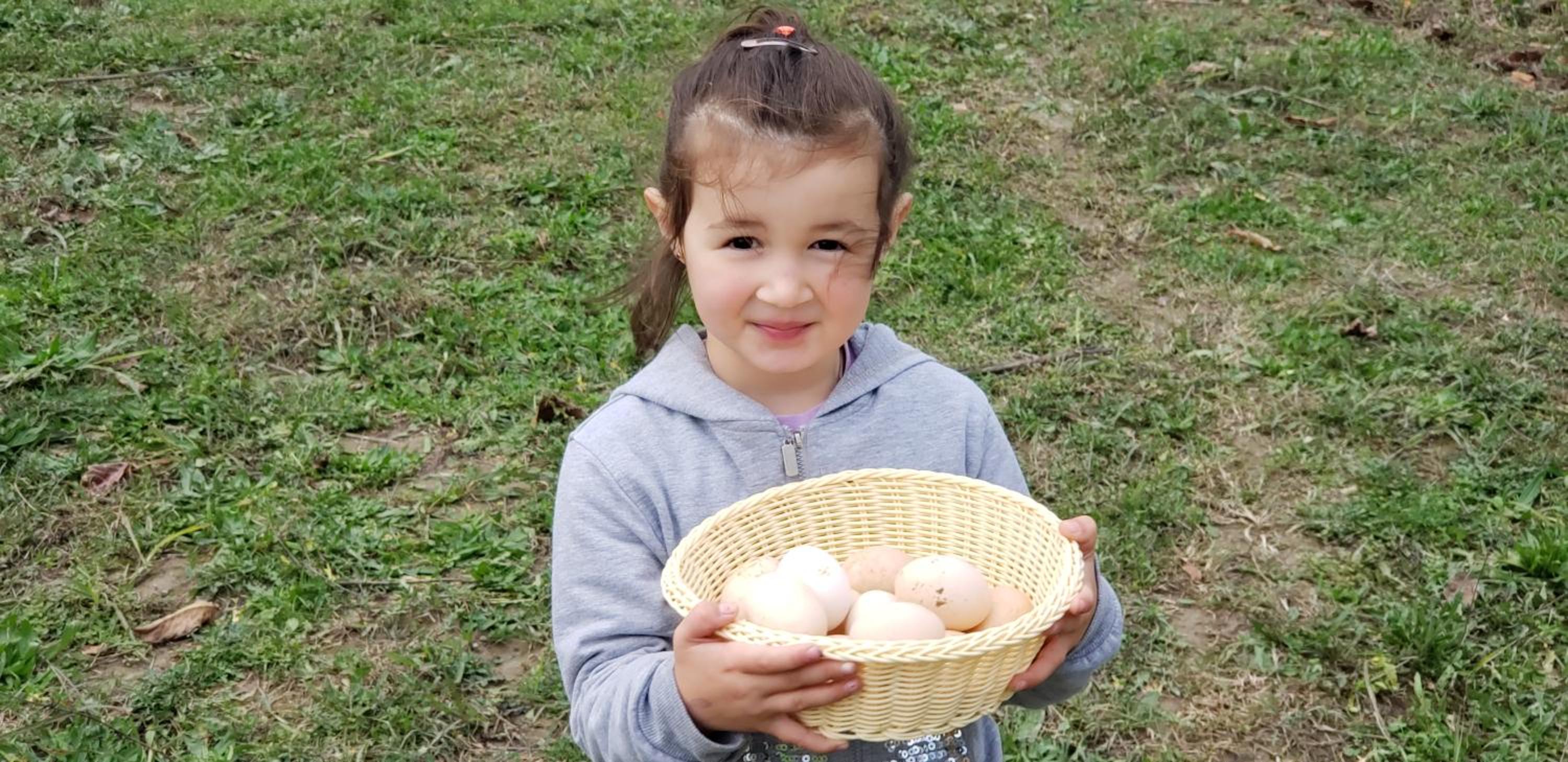 Life on the farm