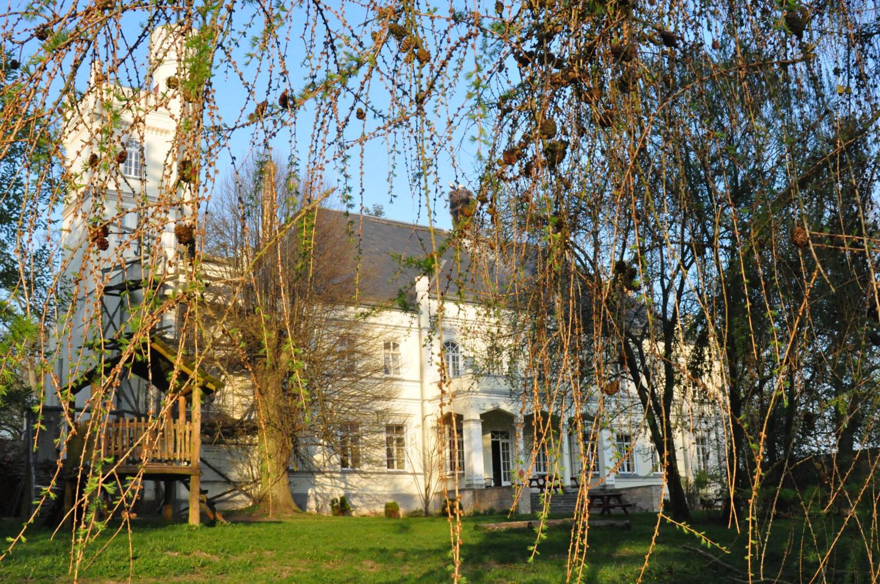 Photo 46
