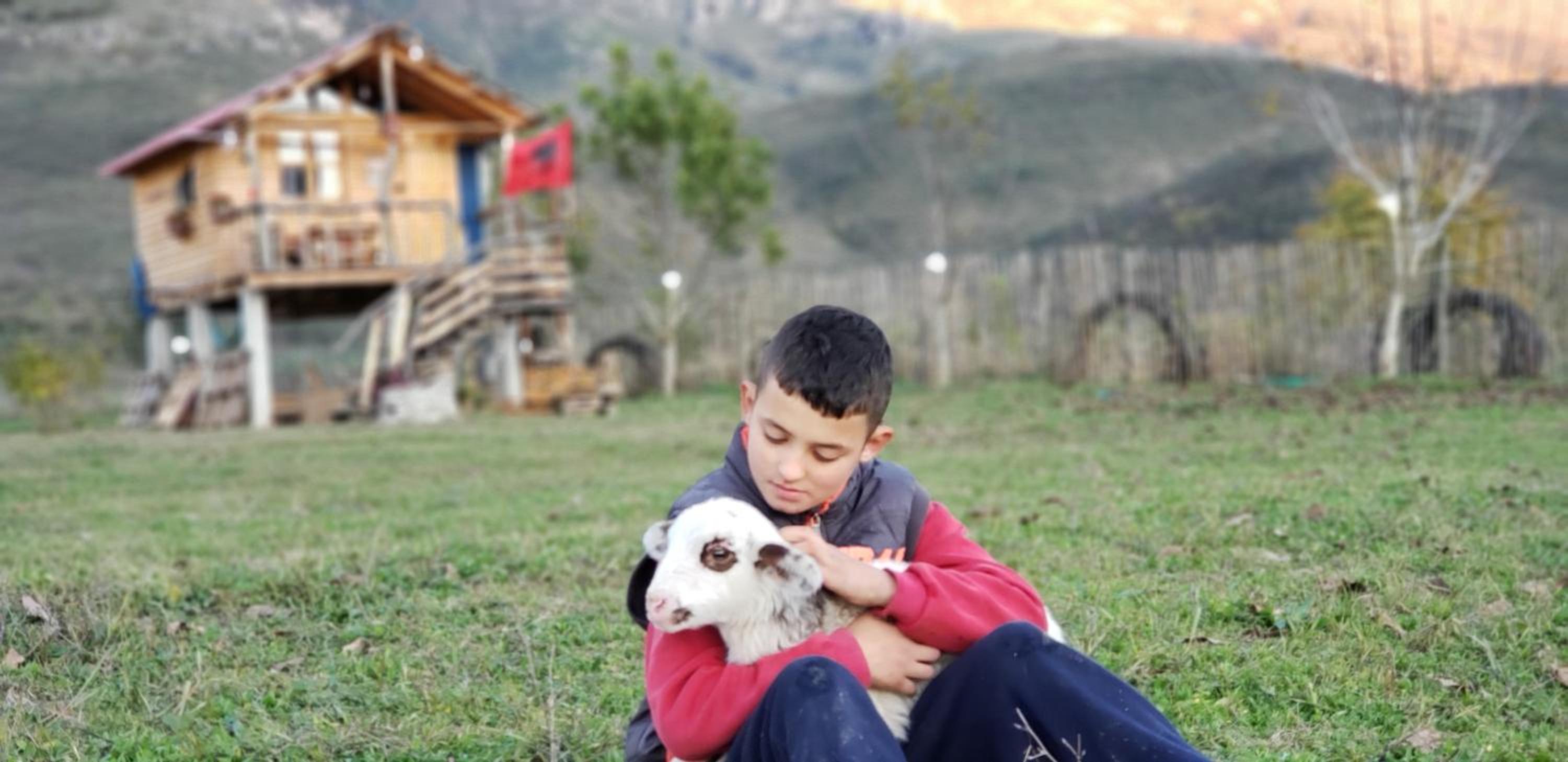 Life on the farm