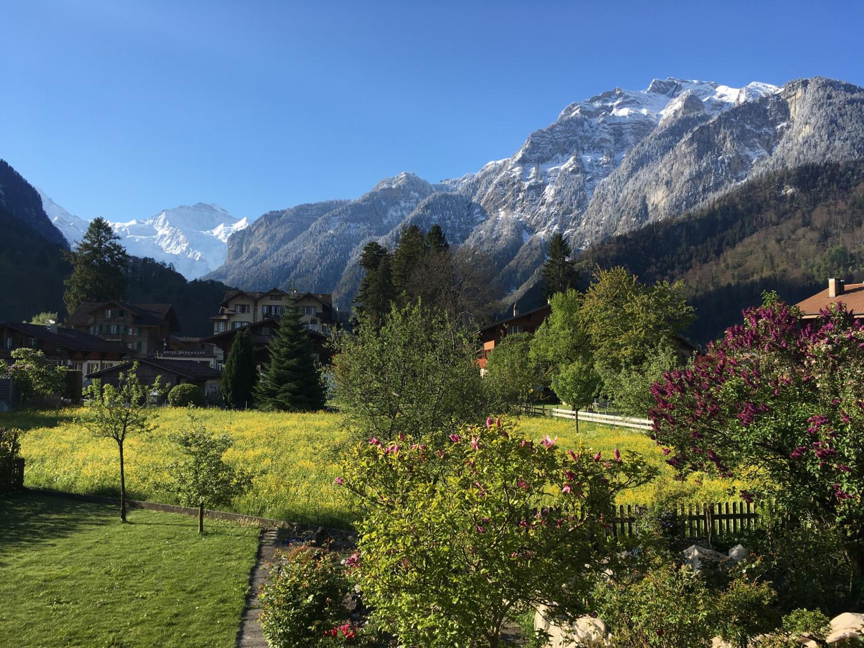 Holidayapartment Sydach view 4
