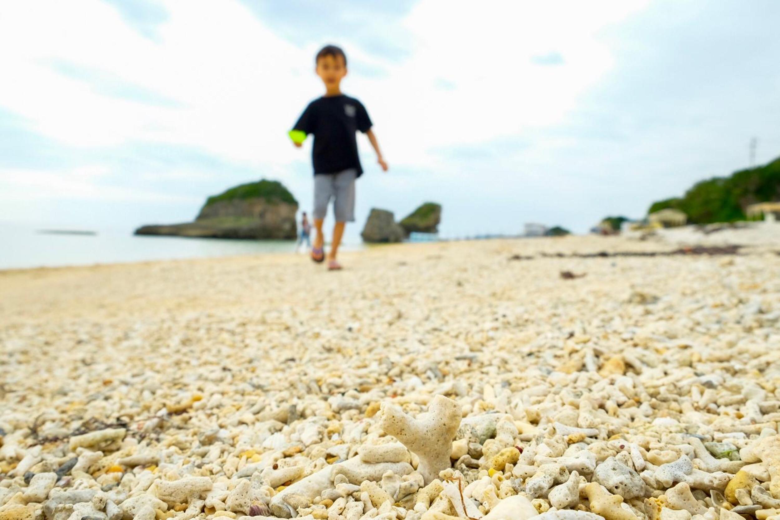 沖縄の自然と文化を体験できるゲストハウス一番座, photo 61