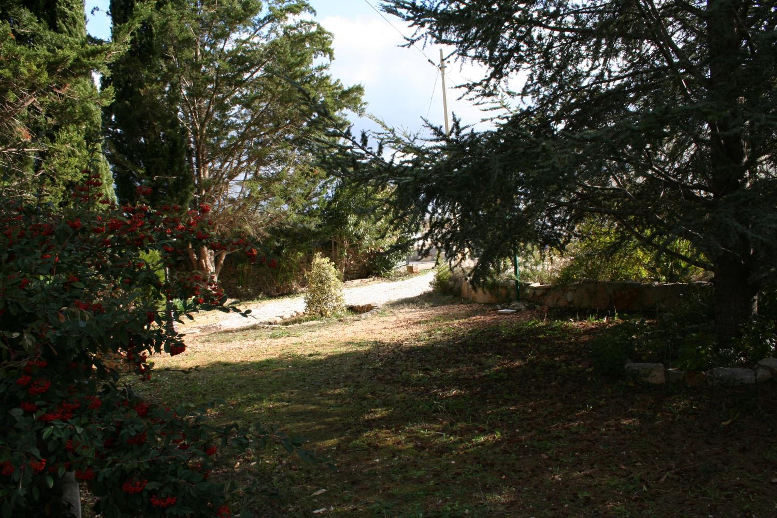 Photo 21