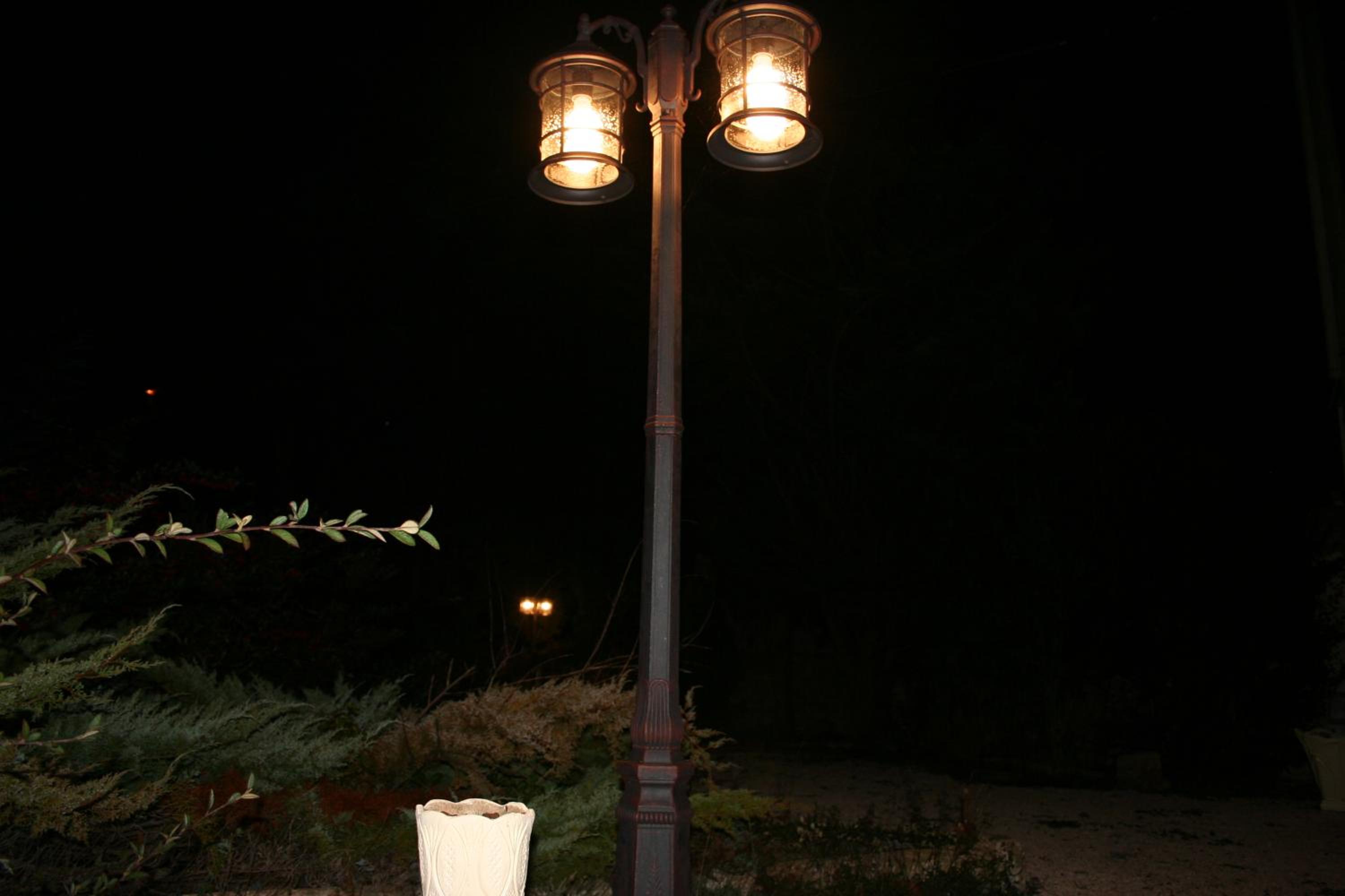 Photo 24
