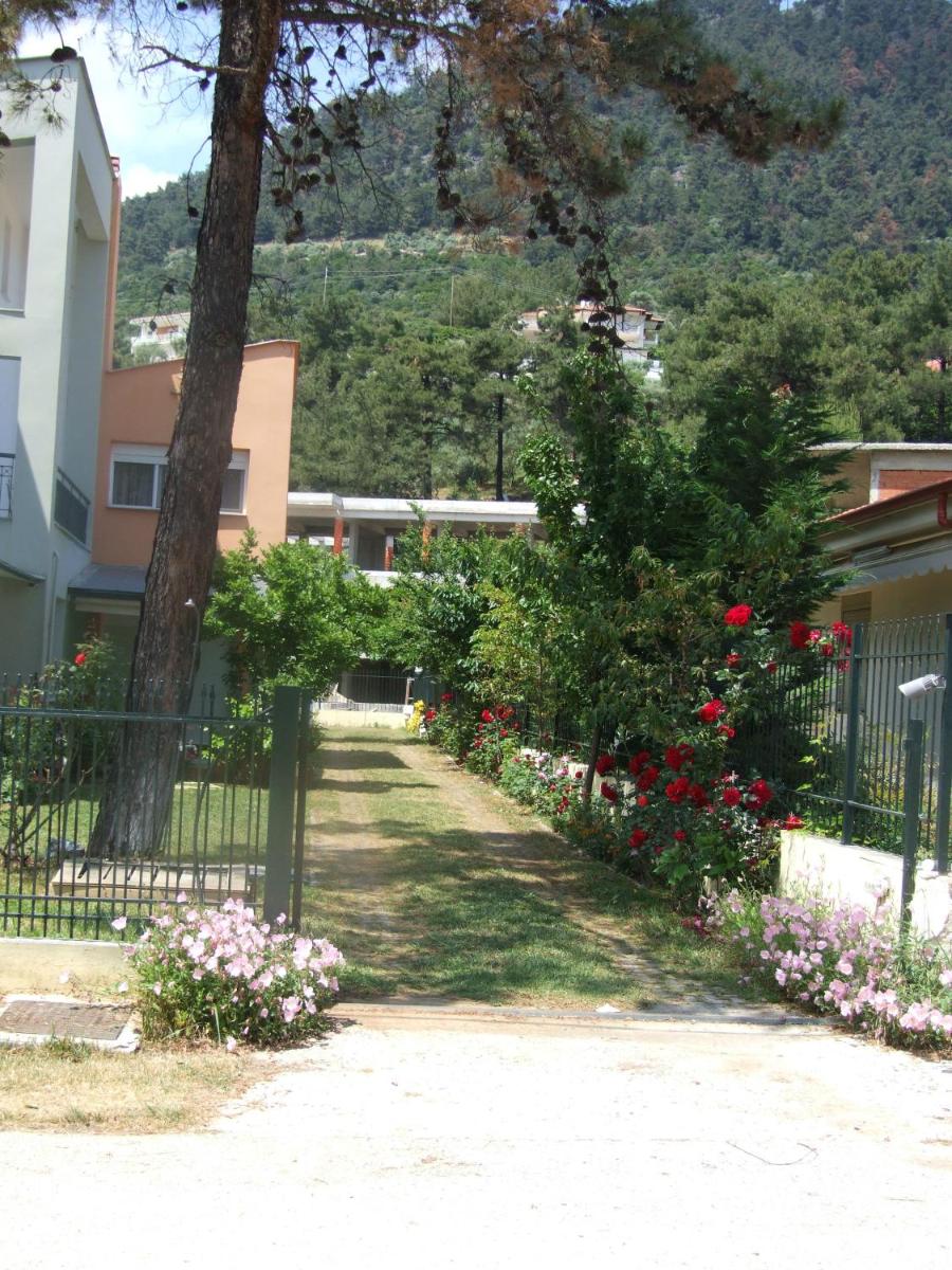 House by the Sea view 2