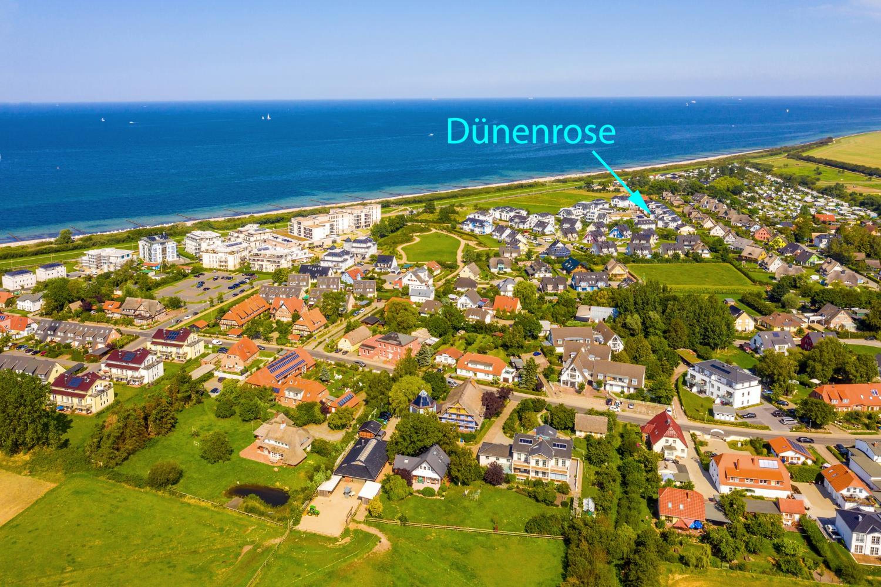Dünenrose 4 Wolkenlos